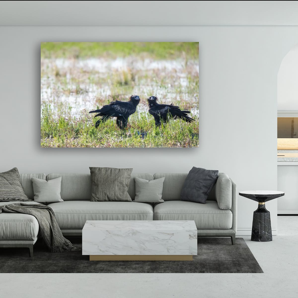 Fine Pair. Wedge-Tailed Eagle