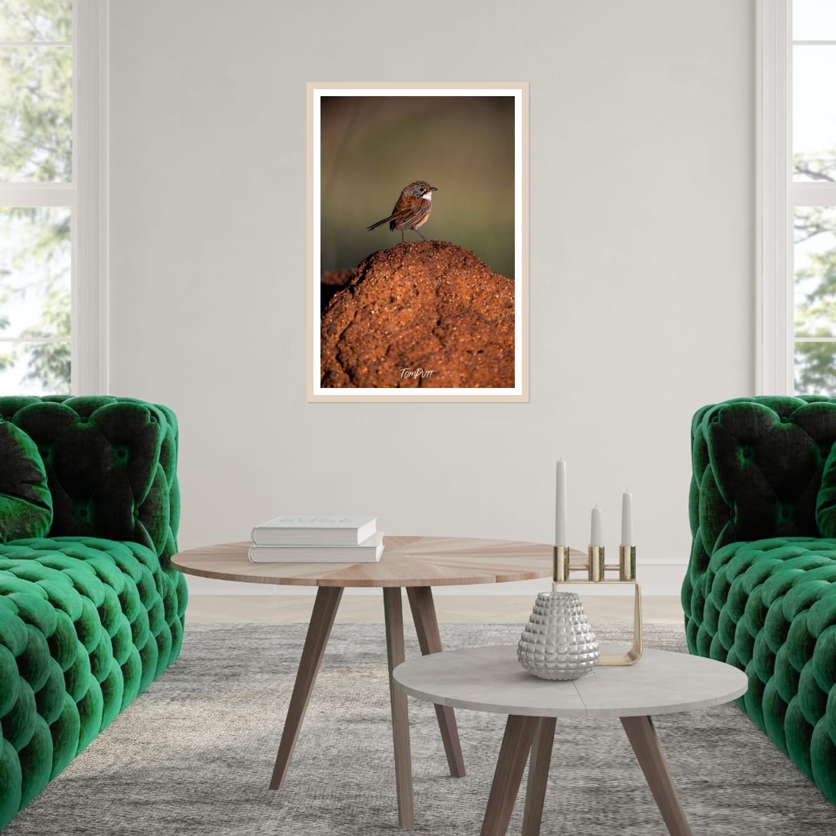 Opalton Grasswren Lookout