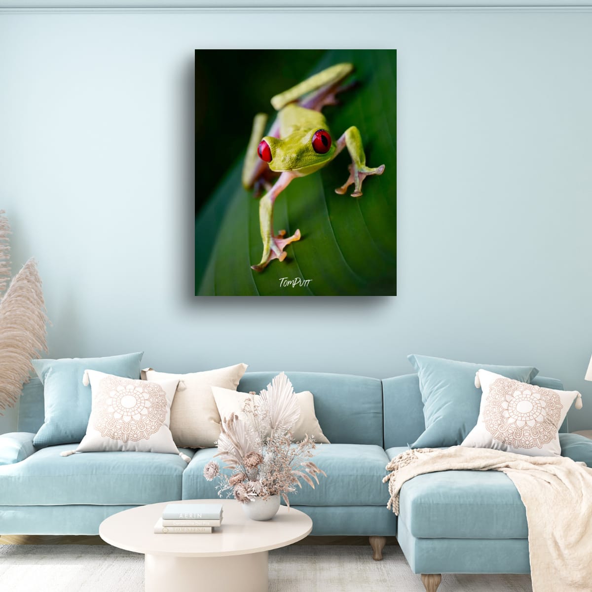 Red-eyed Tree Frog #2, Costa Rica