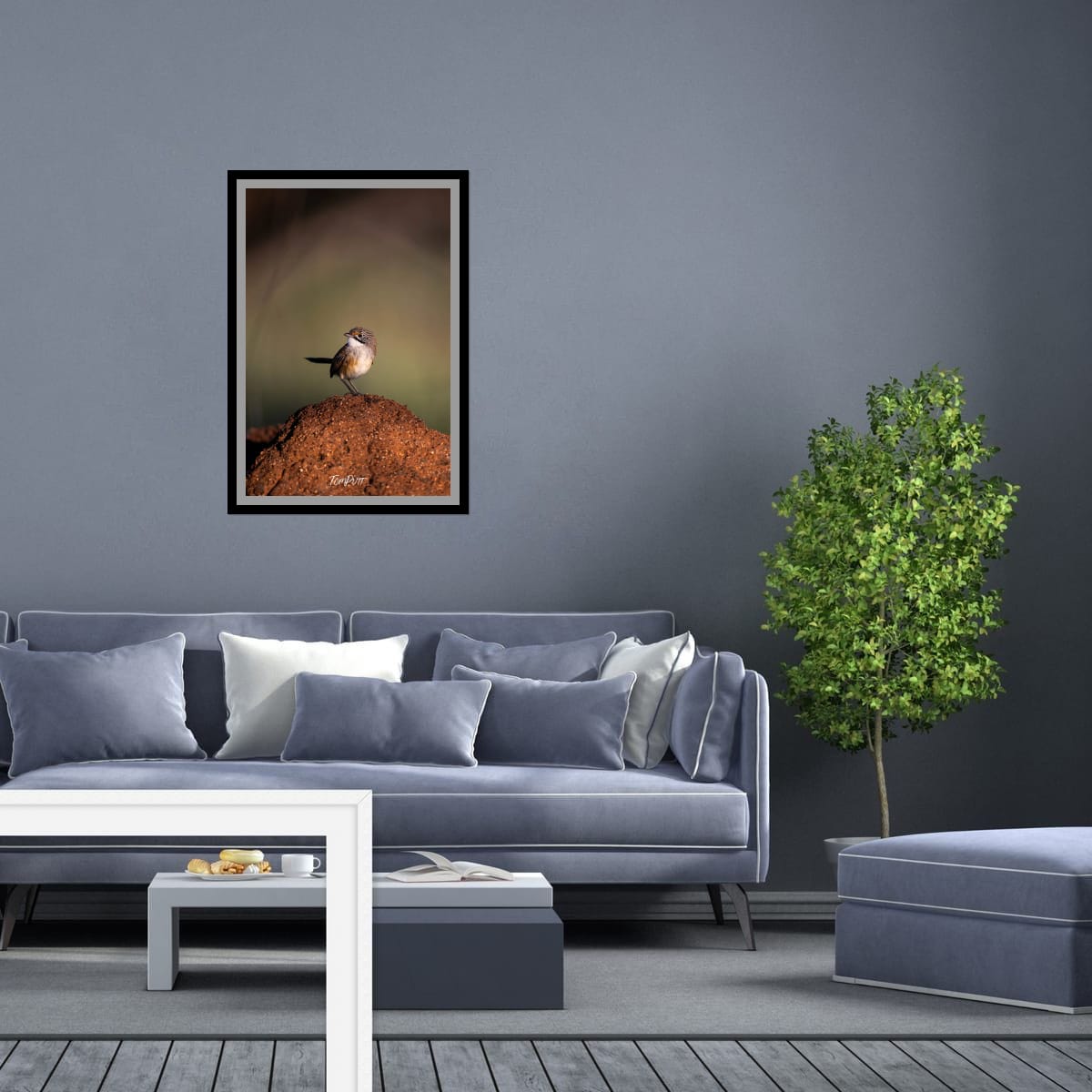 Opalton Grasswren: Look Behind You