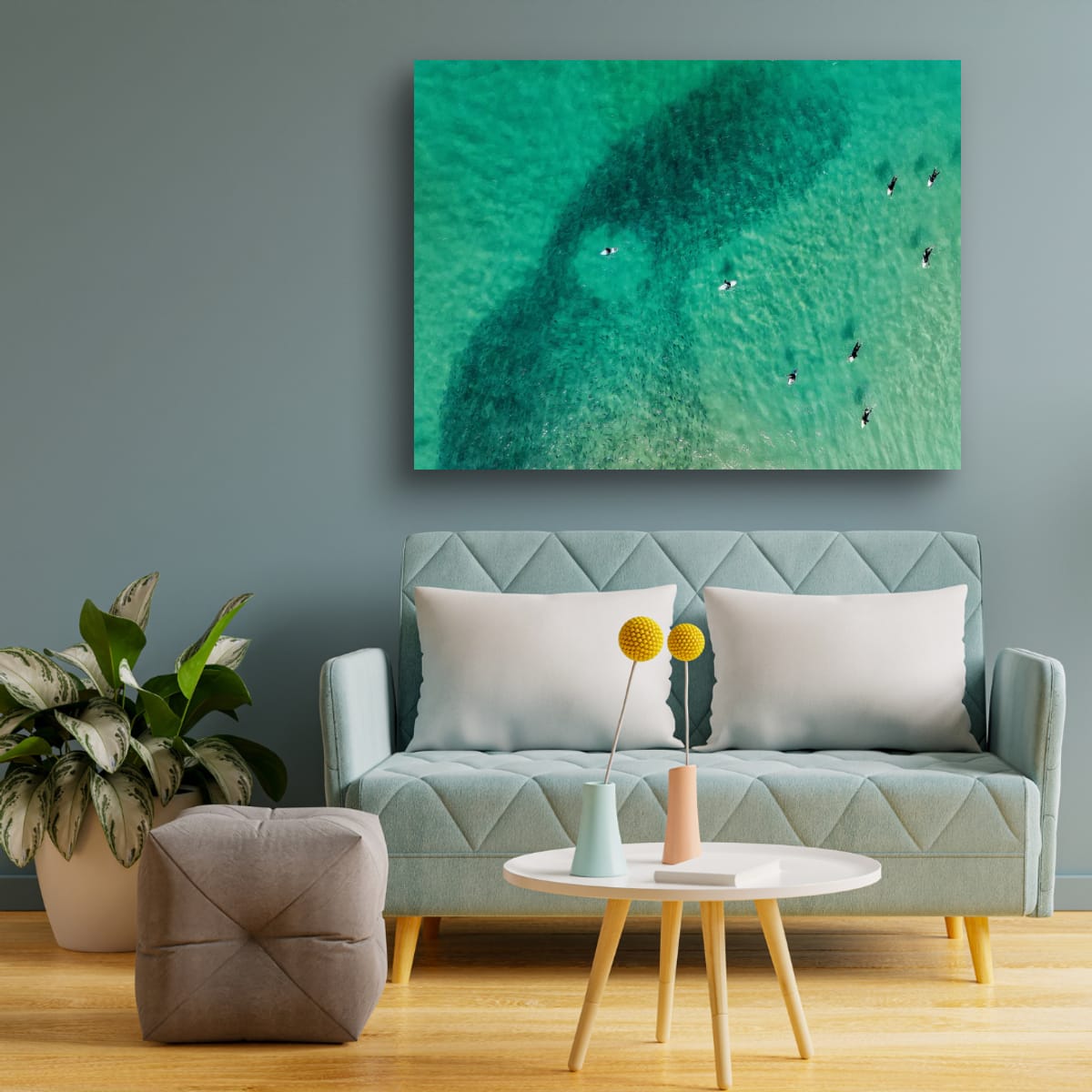 Bait Ball, Gunnamatta