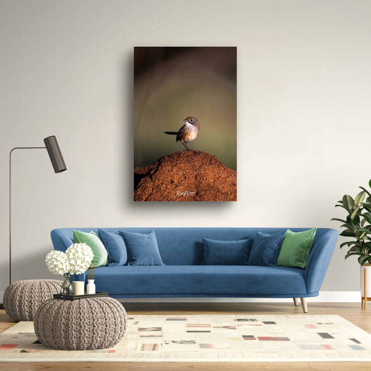 Opalton Grasswren: Look Behind You