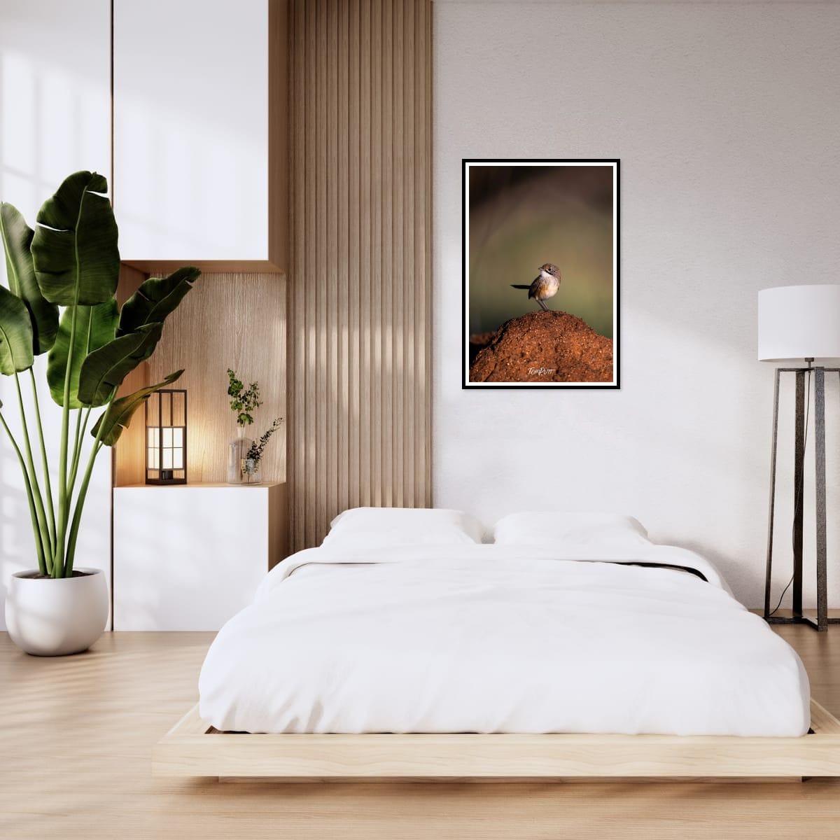 Opalton Grasswren: Look Behind You