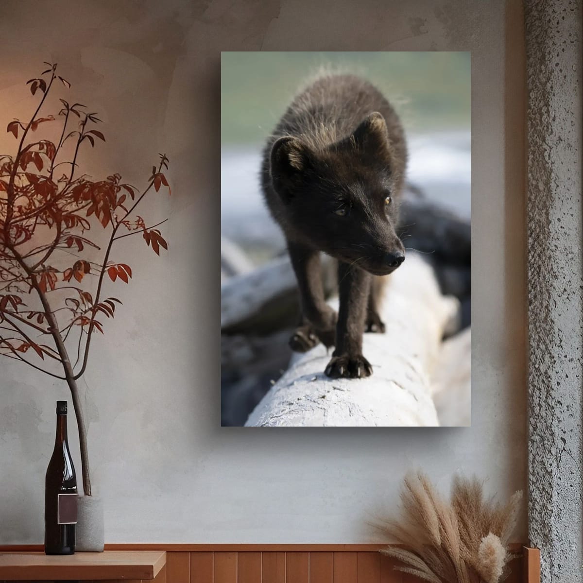 Balance: Arctic Fox