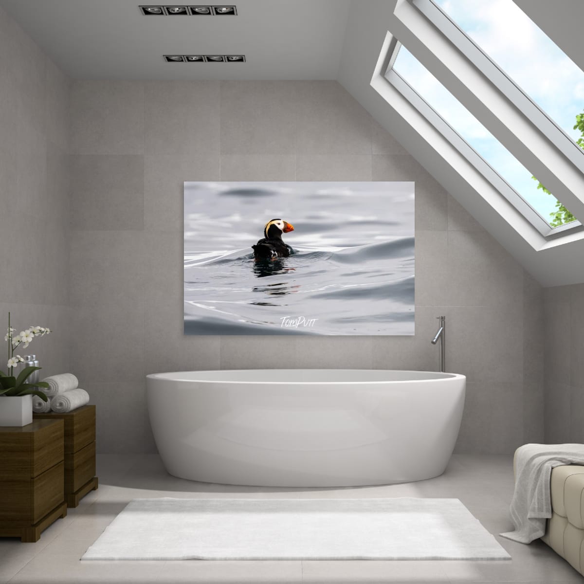 Elegant Float: Tufted Puffin