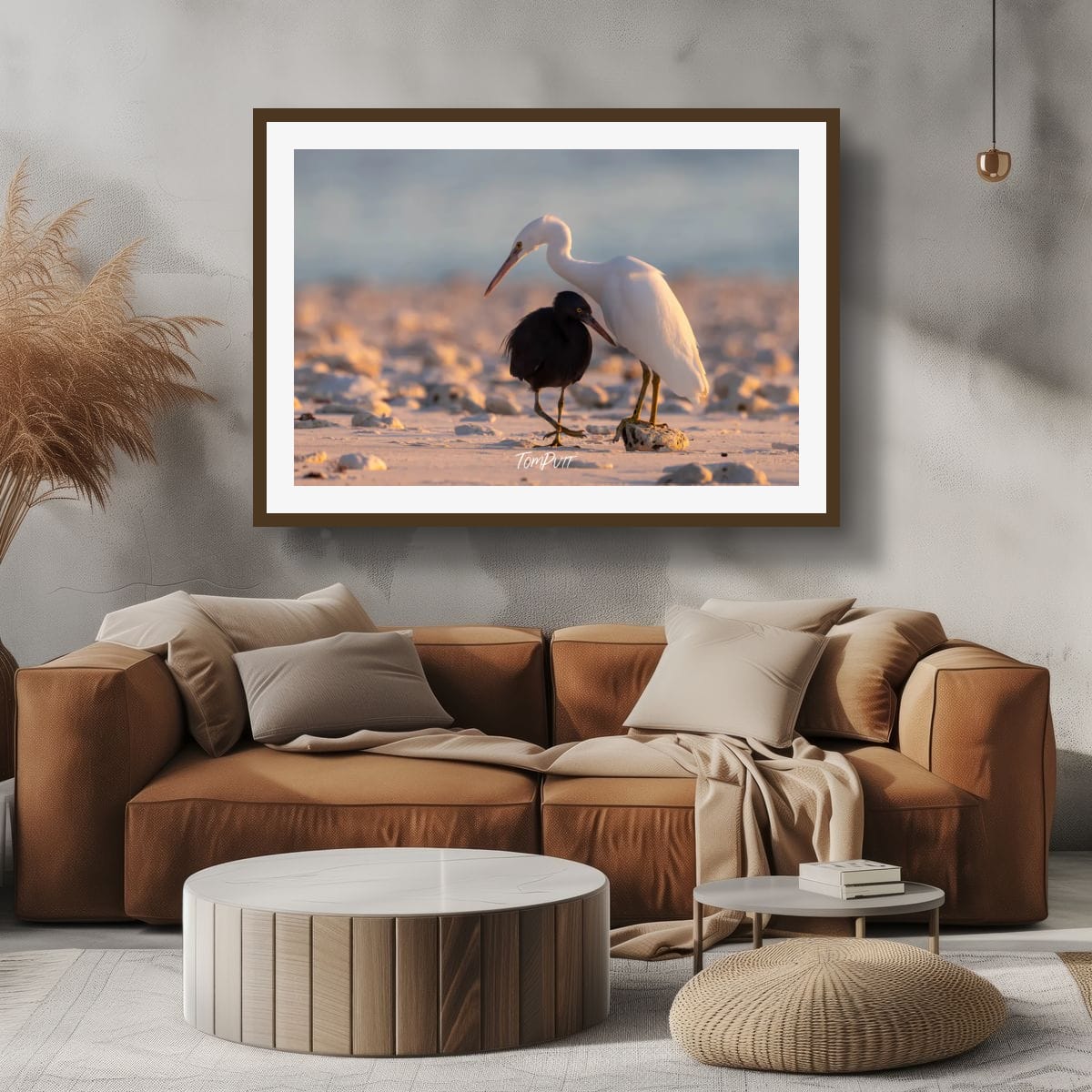 Shoreline Companionship