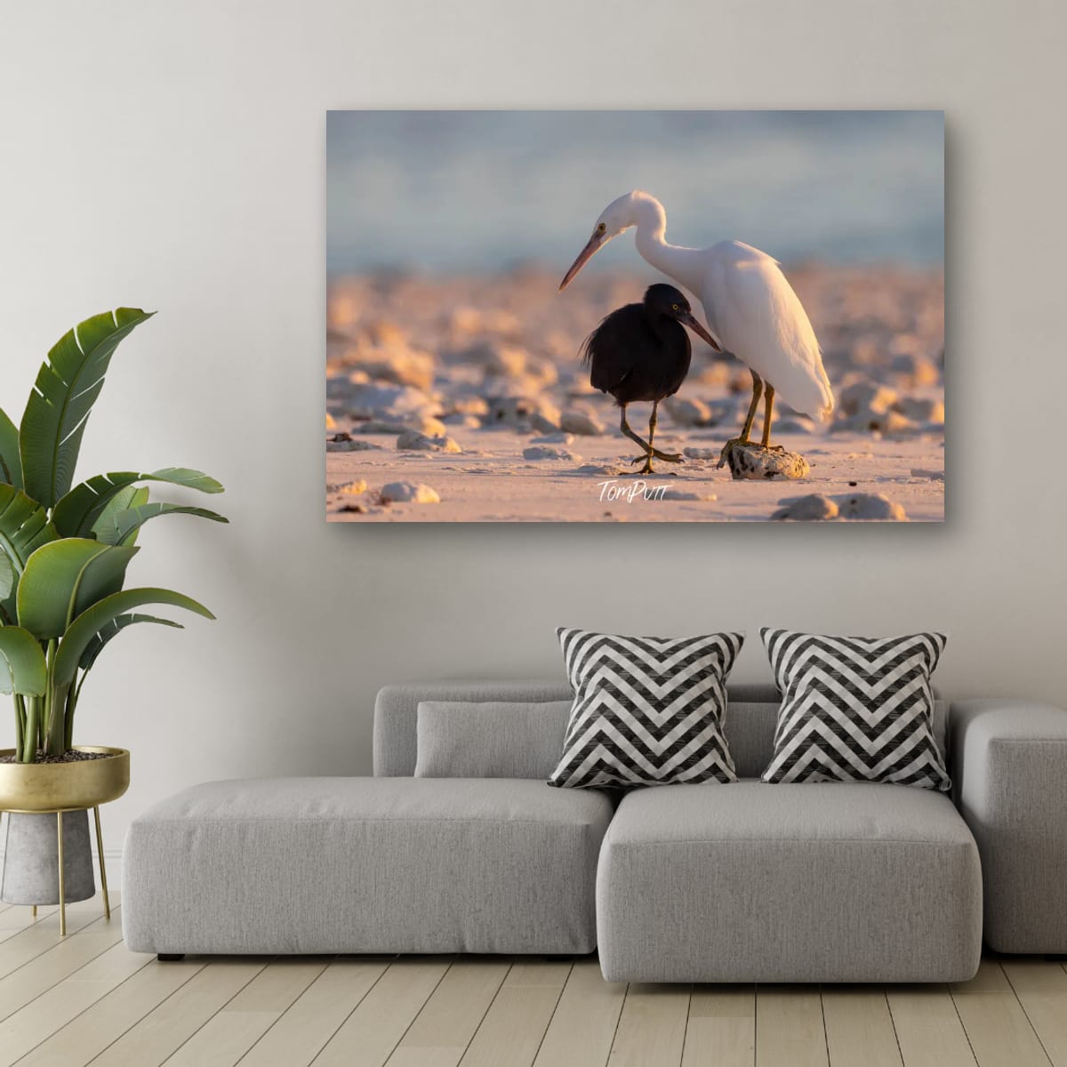 Shoreline Companionship