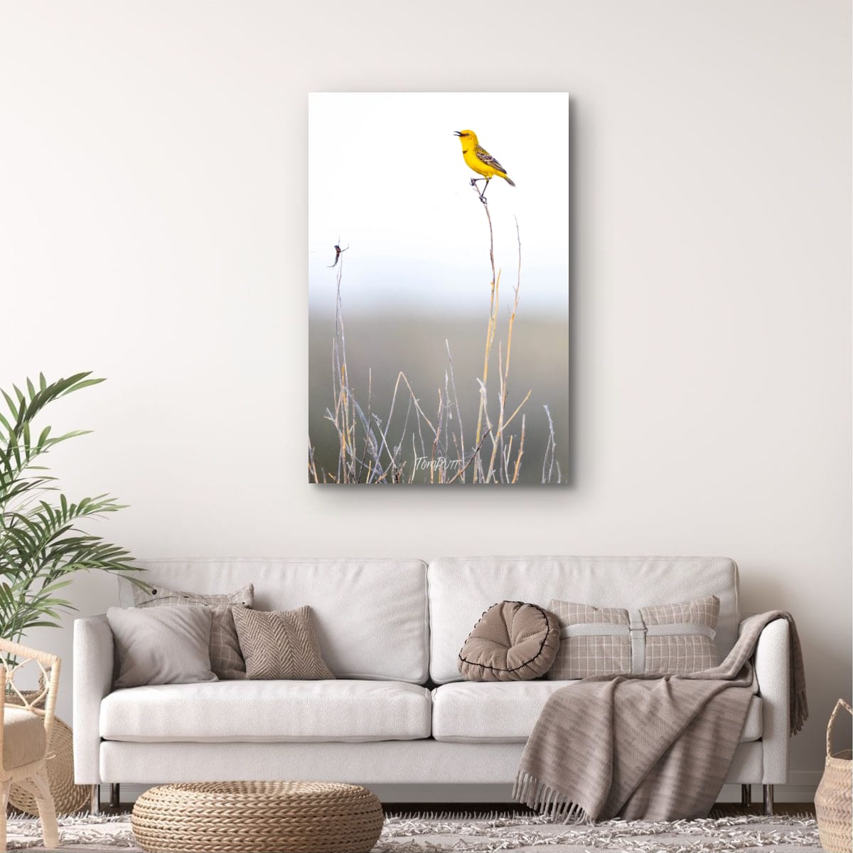High Note. Yellow Chat