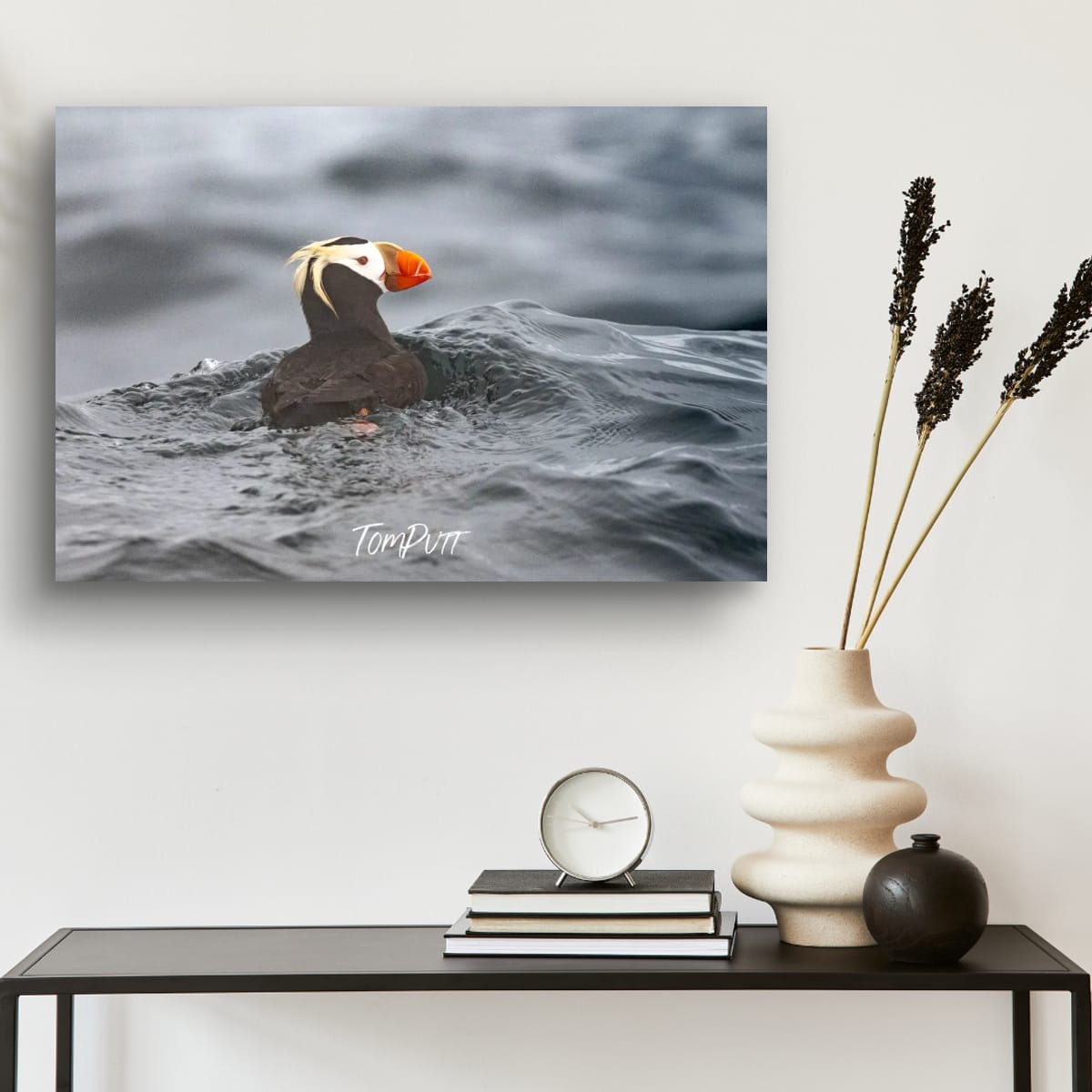 A Quiet Moment: Tufted Puffin
