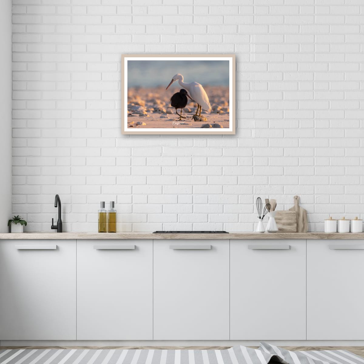 Shoreline Companionship