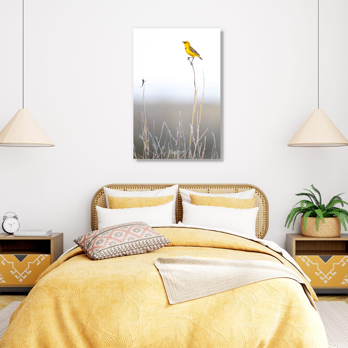 High Note. Yellow Chat