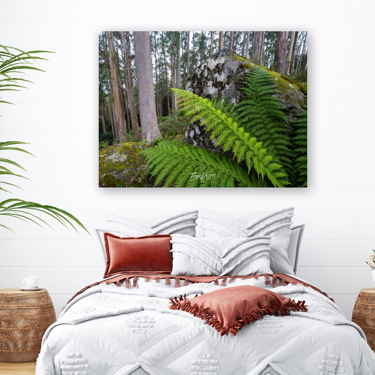 Forest Giants, Mt Baw Baw