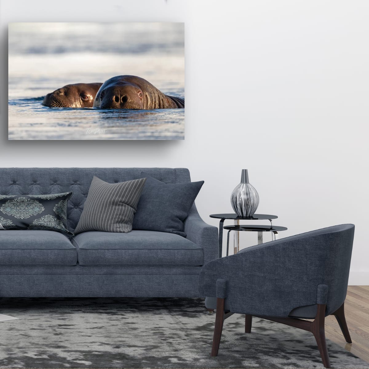 Walrus Watch, Svalbard