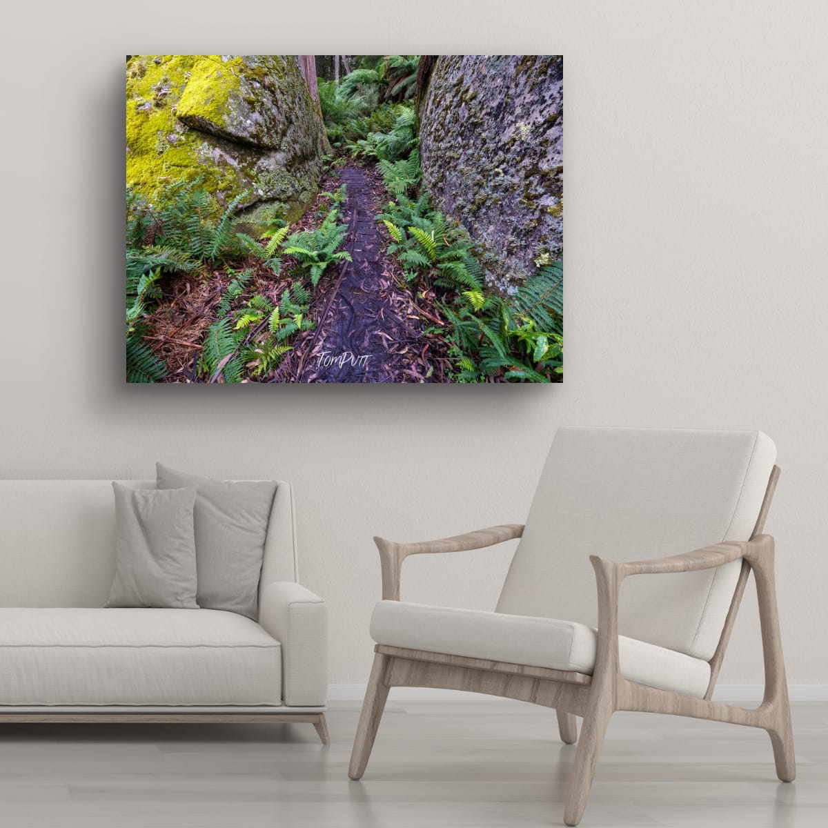 Forest Path, Mt Baw Baw