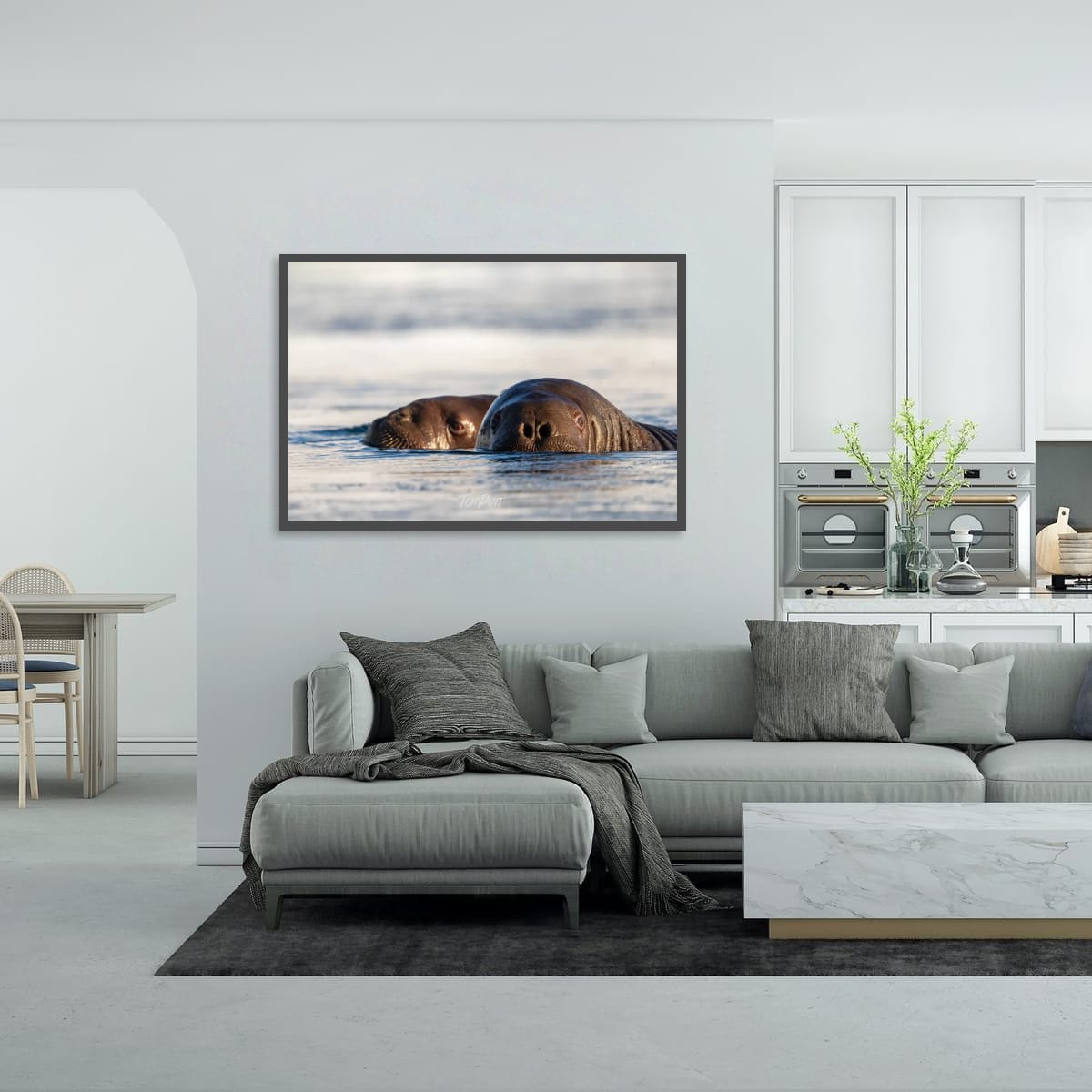 Walrus Watch, Svalbard
