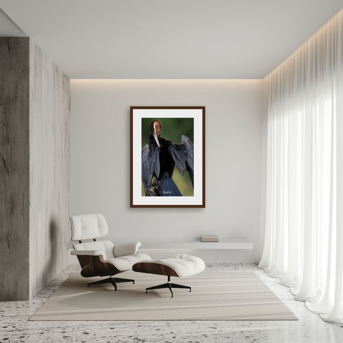 Majestic African Darter