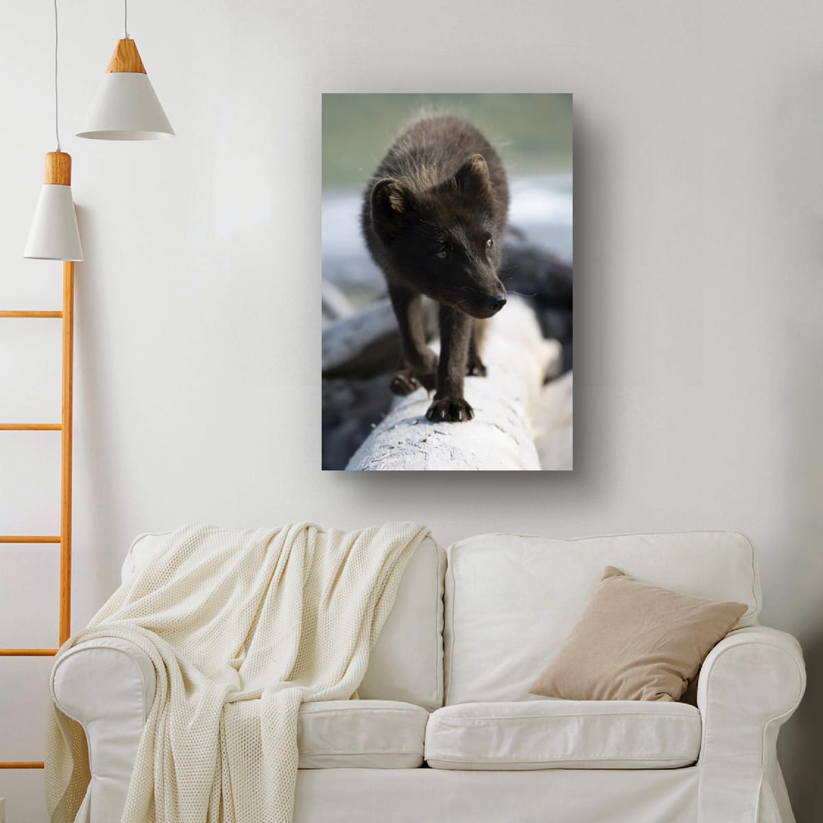 Balance: Arctic Fox