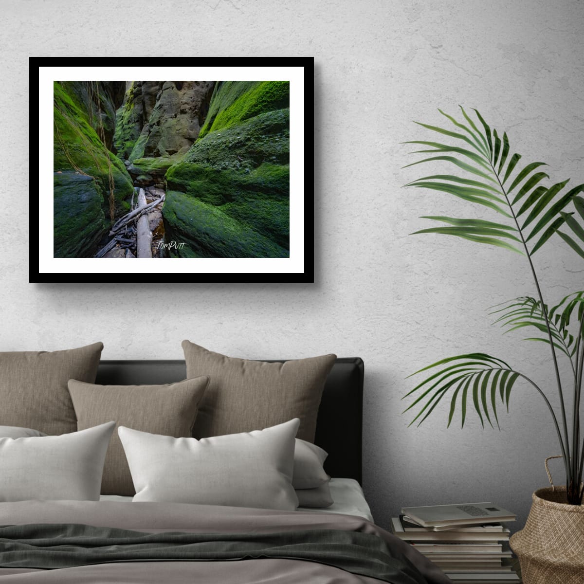 Green Passage, Carnarvon Gorge