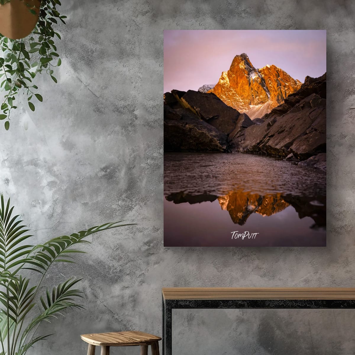 Icelandic Gold