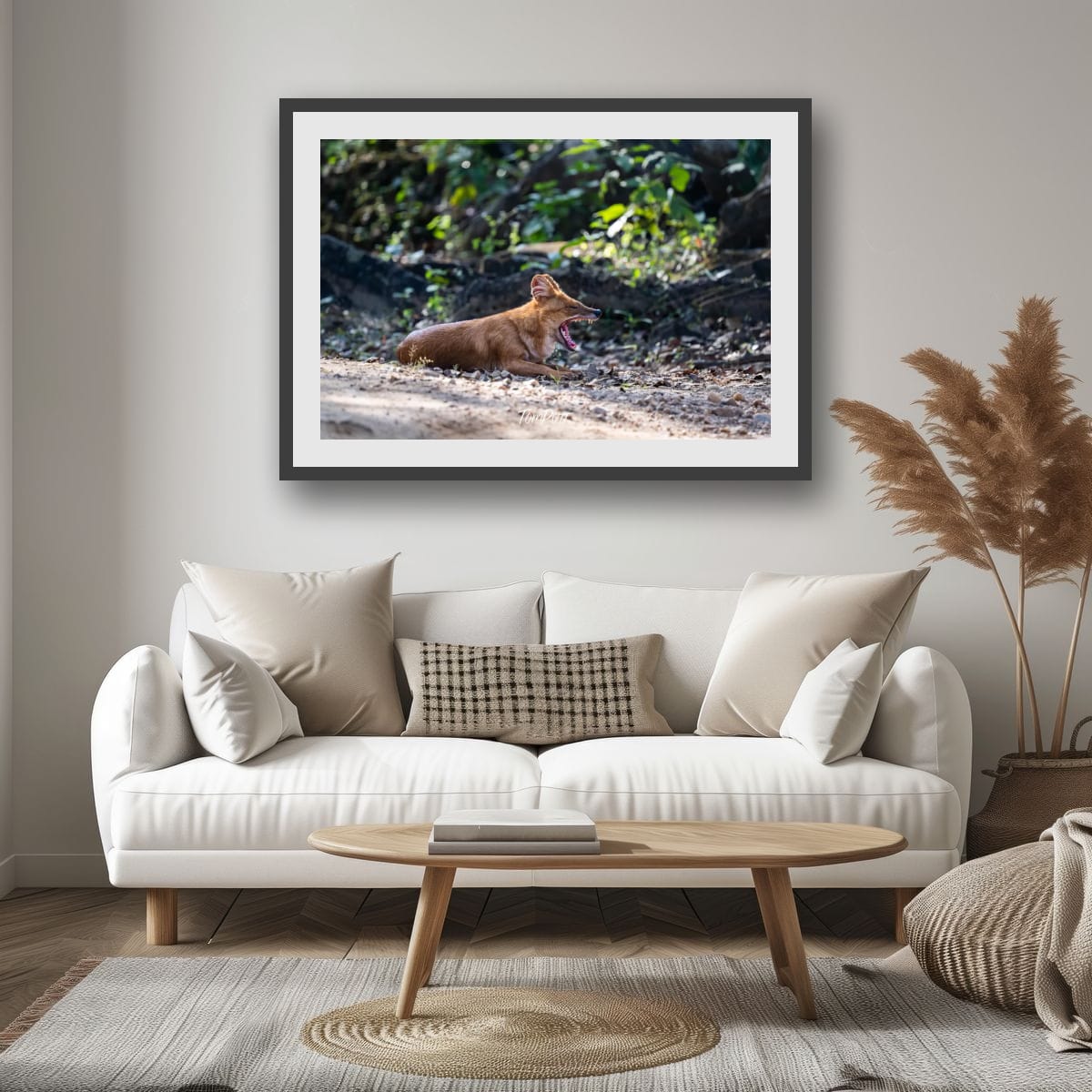 Big Yawn: Indian Wild Dog