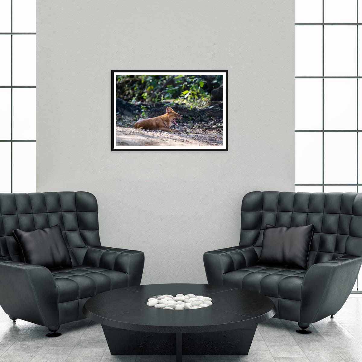 Big Yawn: Indian Wild Dog