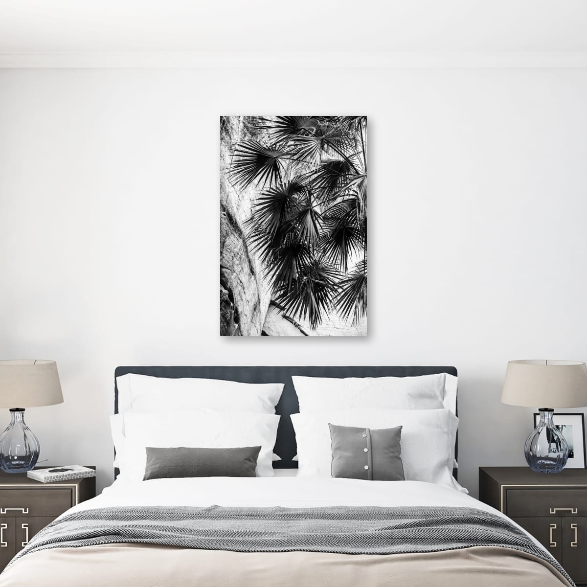 Shadow Play, Carnarvon Gorge