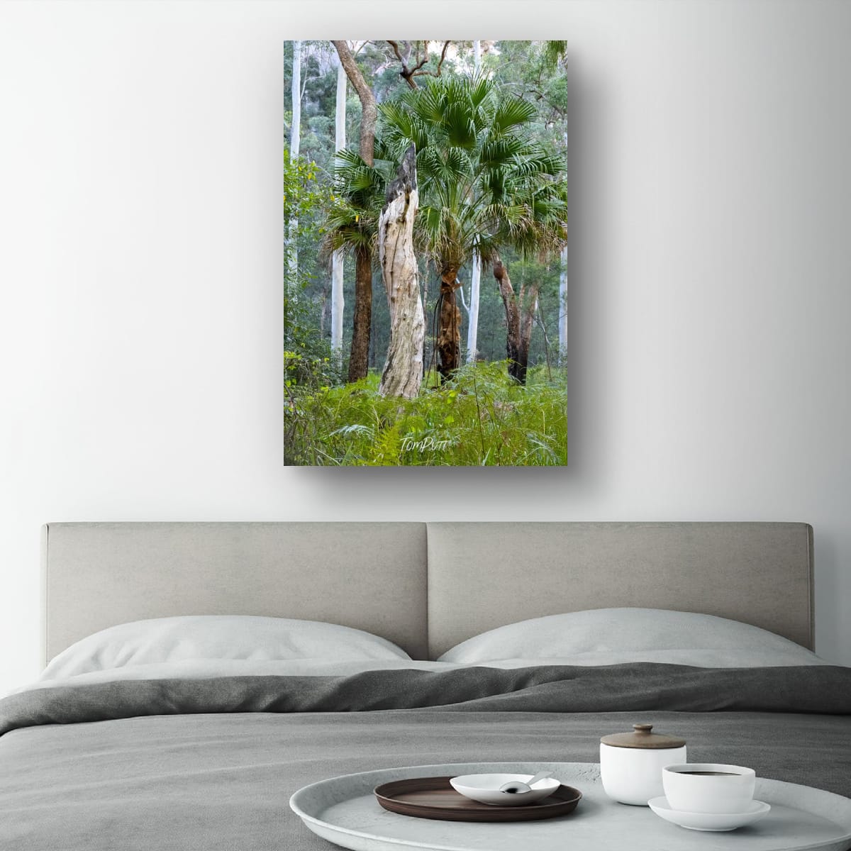 Palms and Gums, Carnarvon Gorge