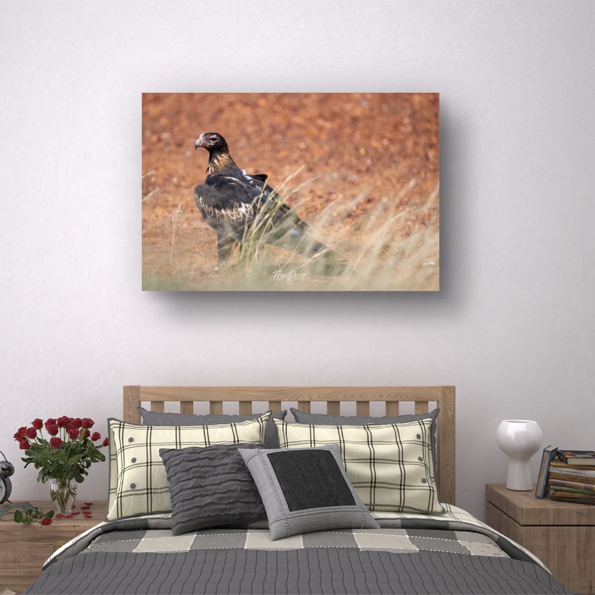 Observant. Wedge-Tailed Eagle