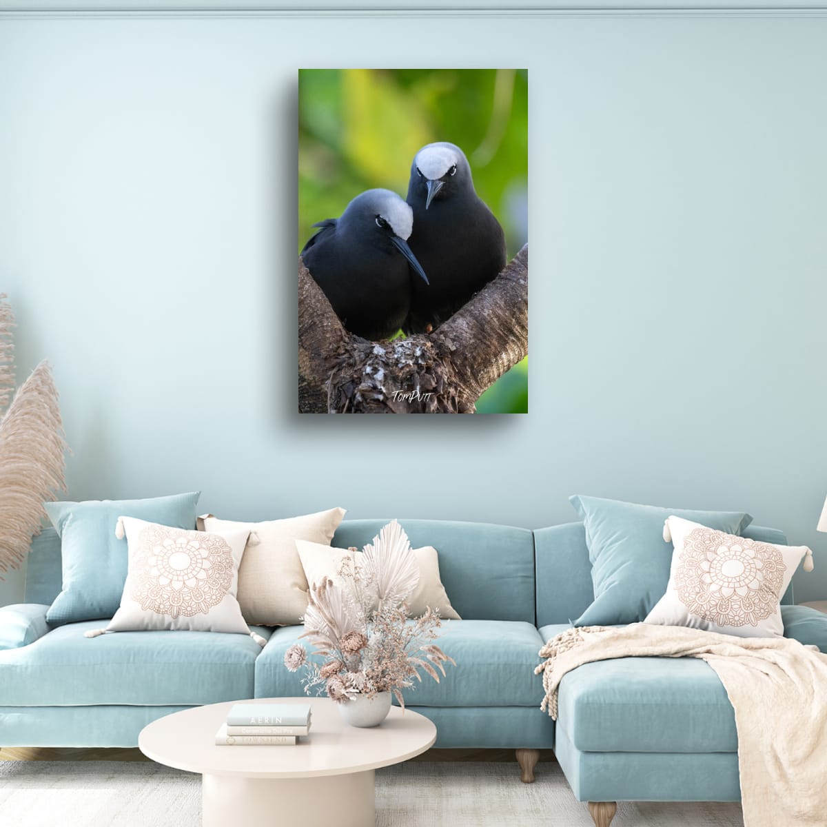 Perched Companions: Black Noddies