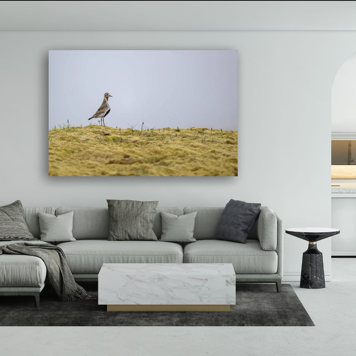 Vigilant Golden Plover