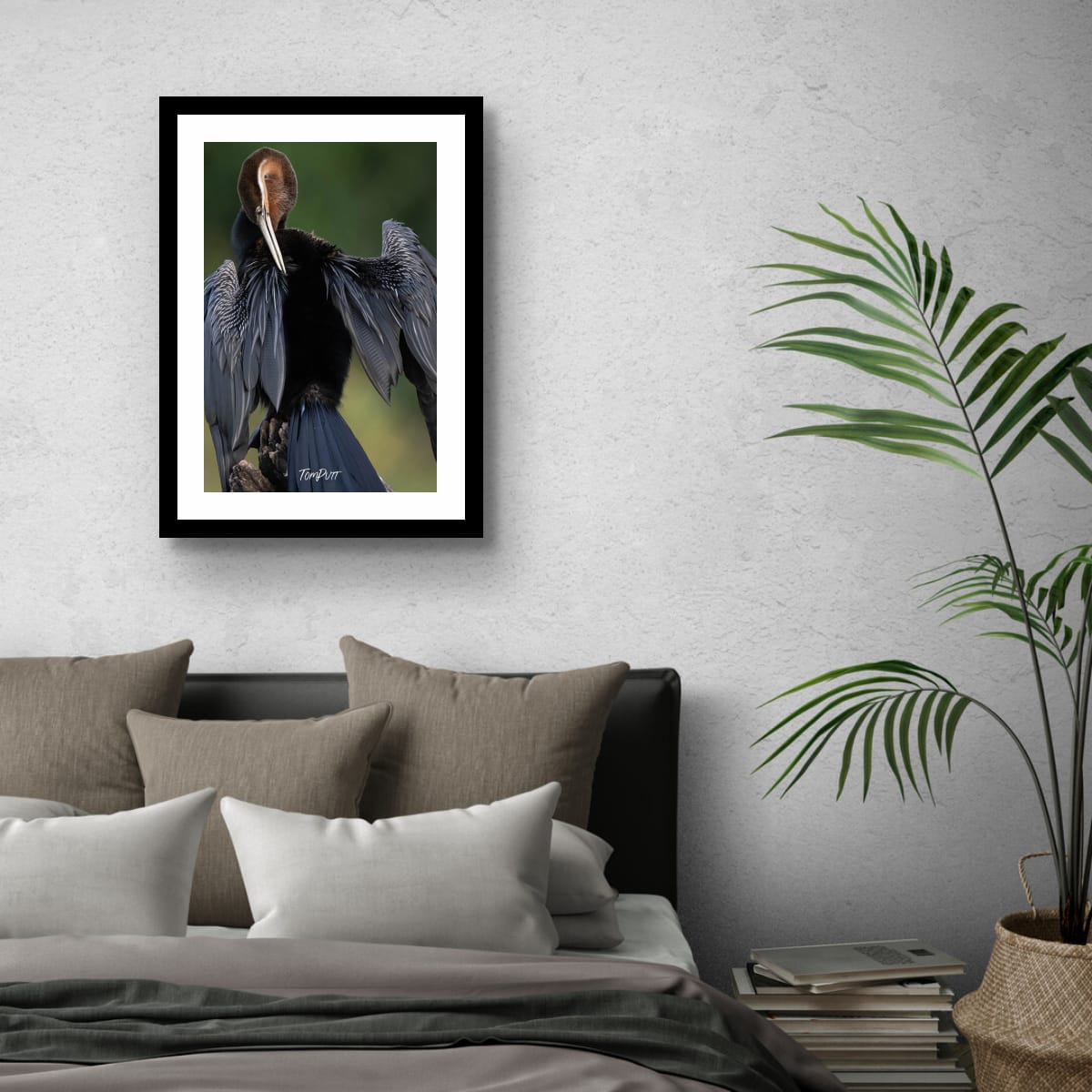 Majestic African Darter