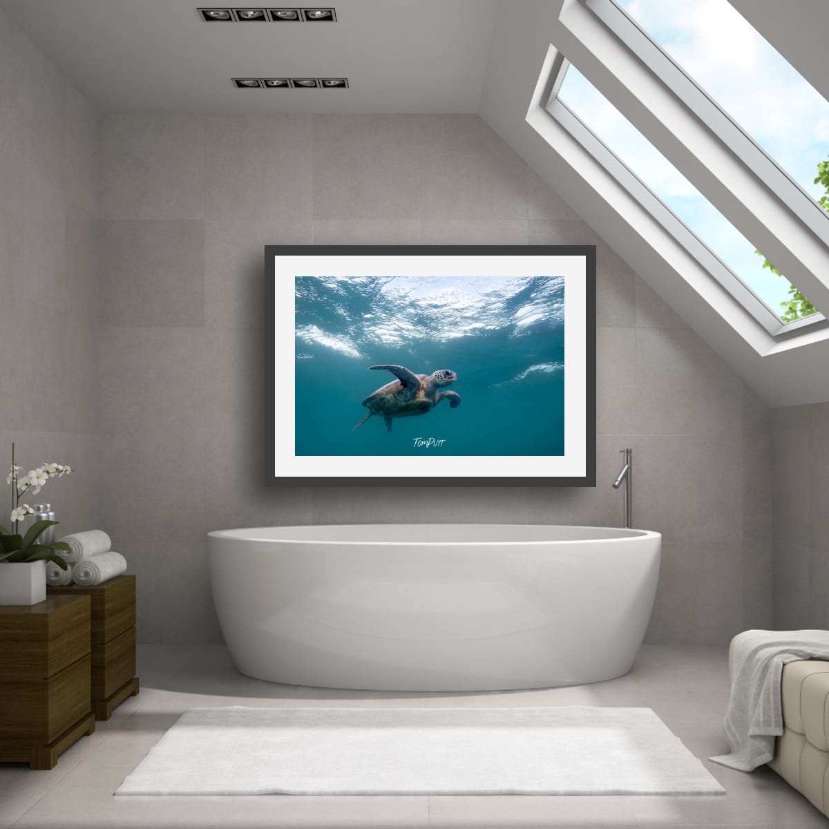 Turtle Determination