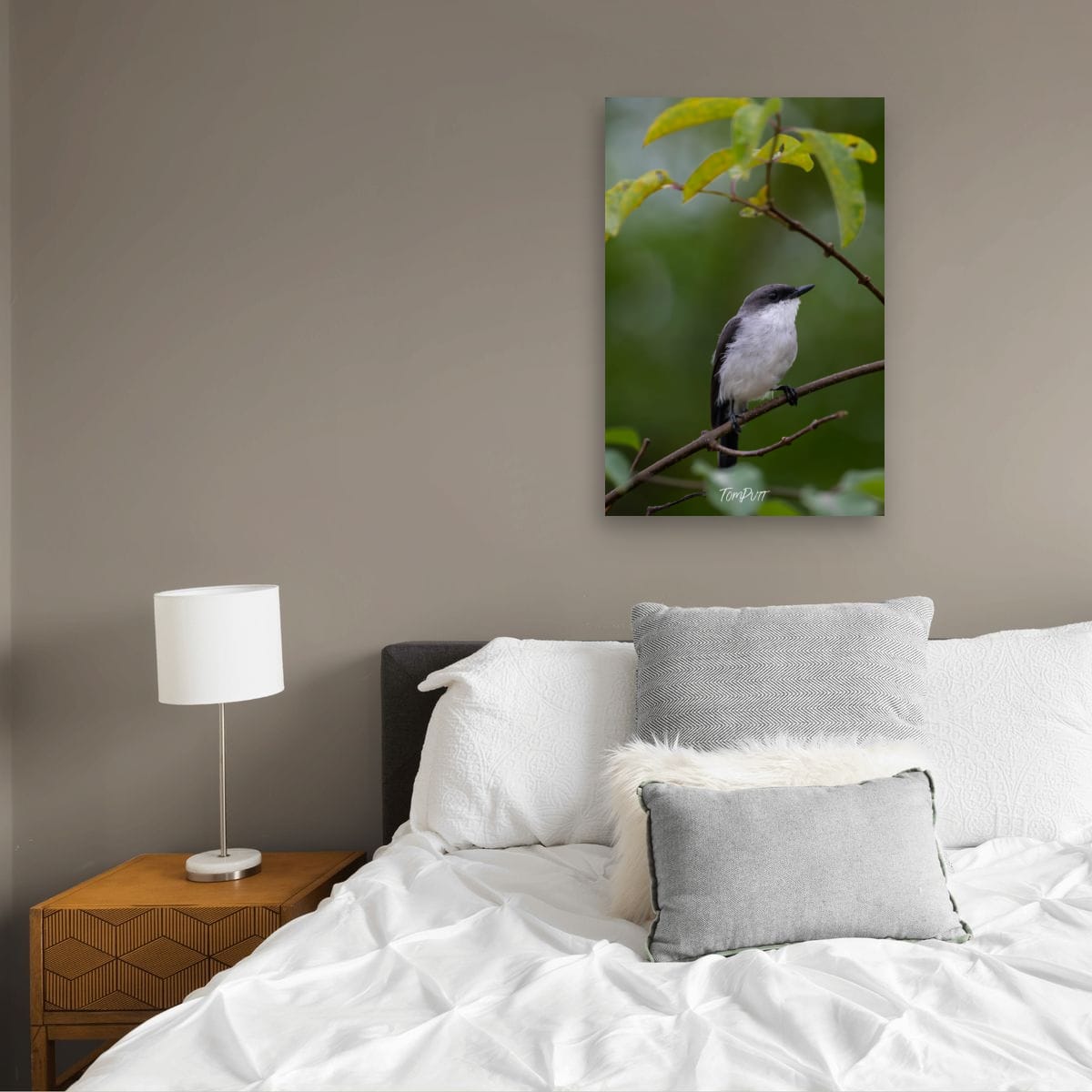 Mangrove Robin at Rest