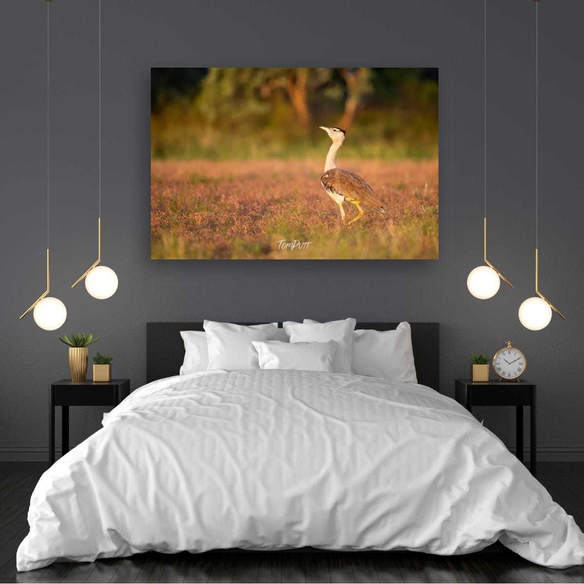 The Stride of the Australian Bustard