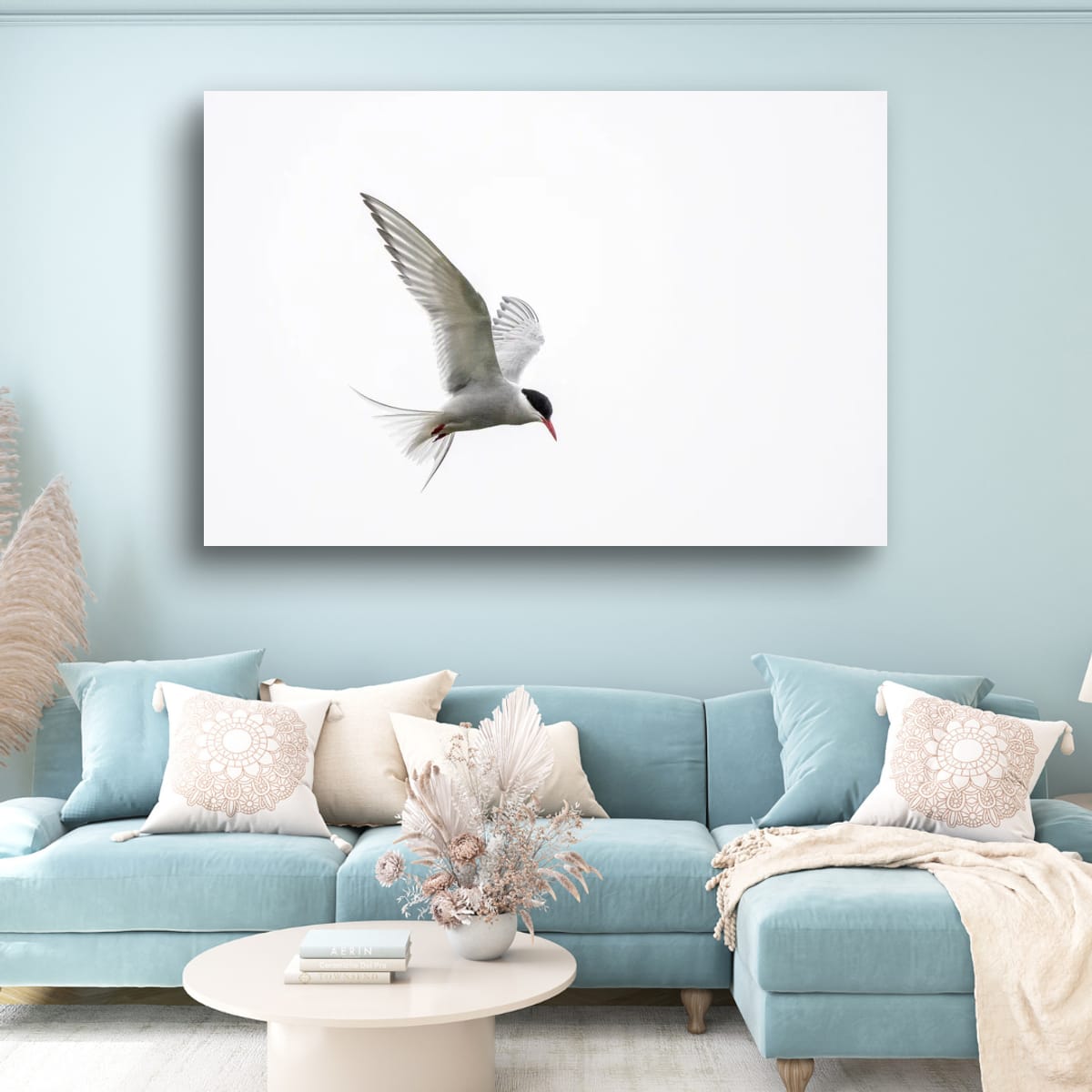 Arctic Tern in Flight