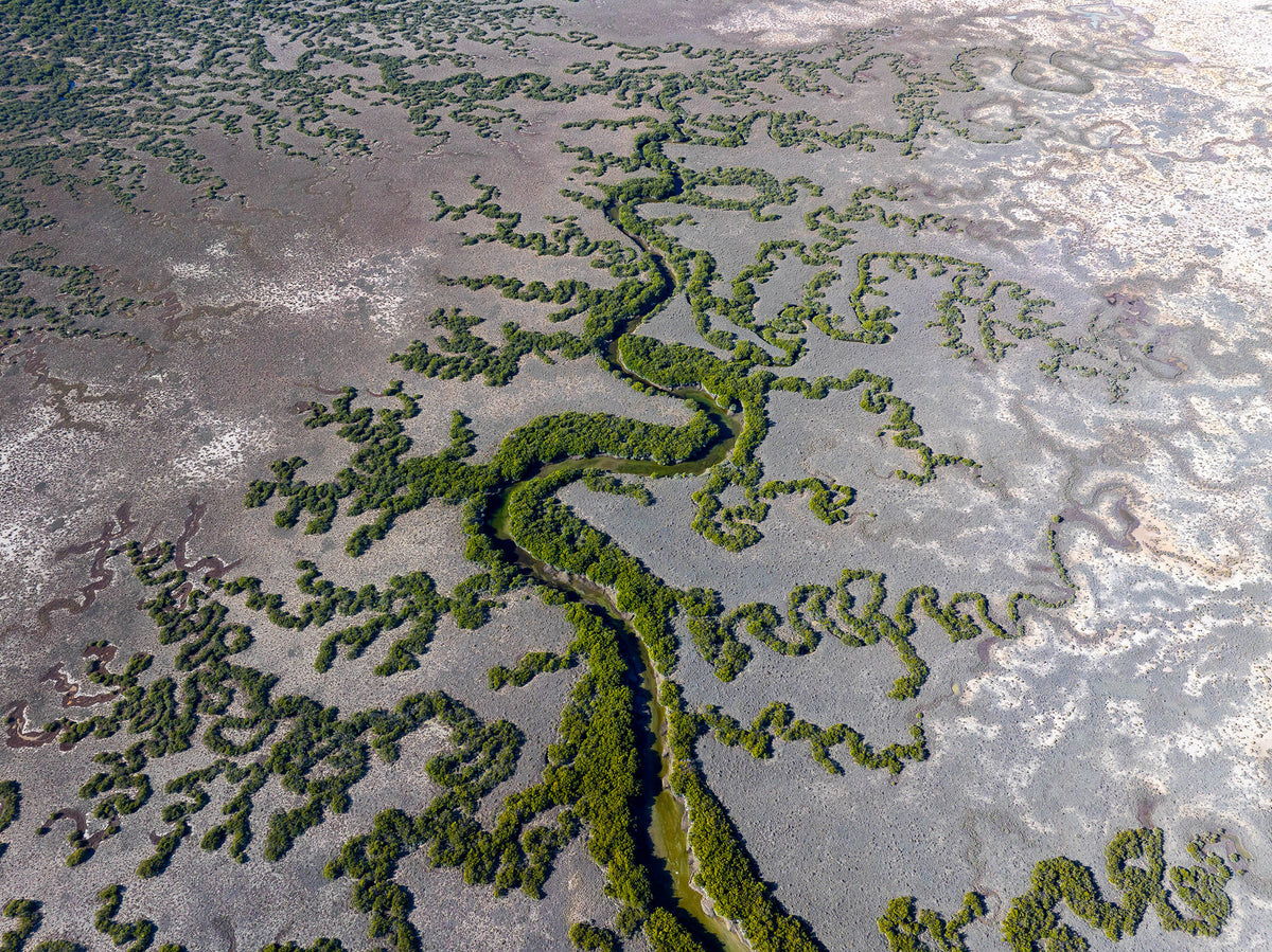 Creek Lines, South Australia