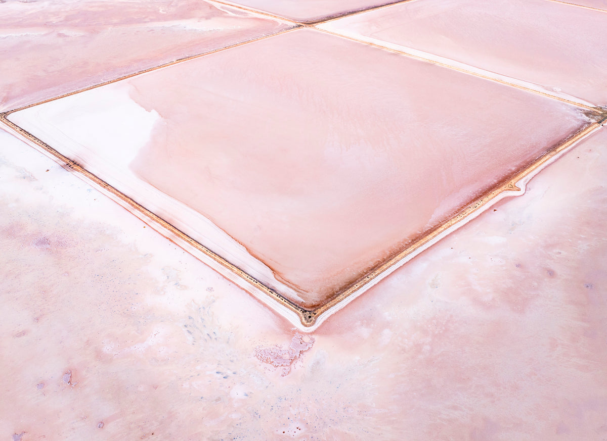 Blush Geometry, South Australia