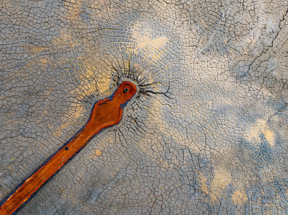 Reptilian, Western Australia