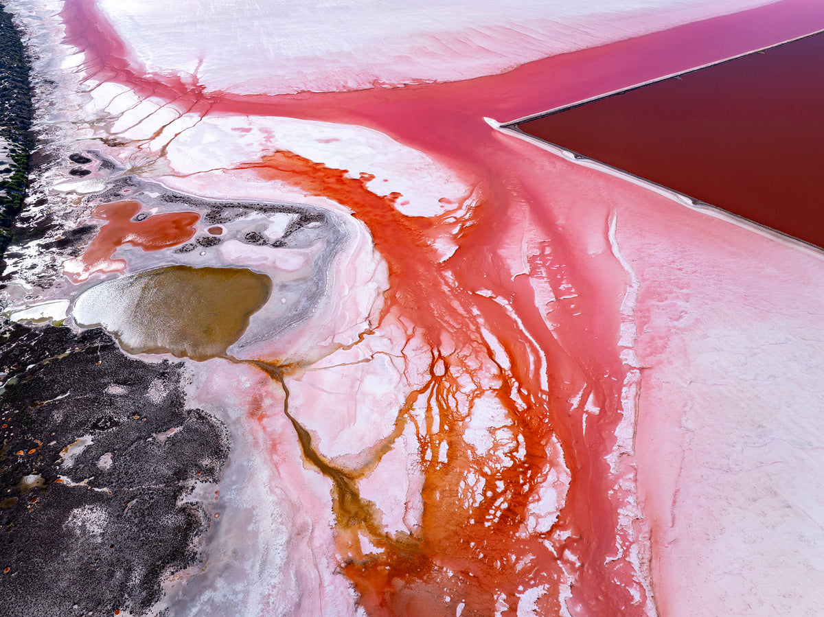 Crimson Blush, Hutt Lagoon, Western Australia