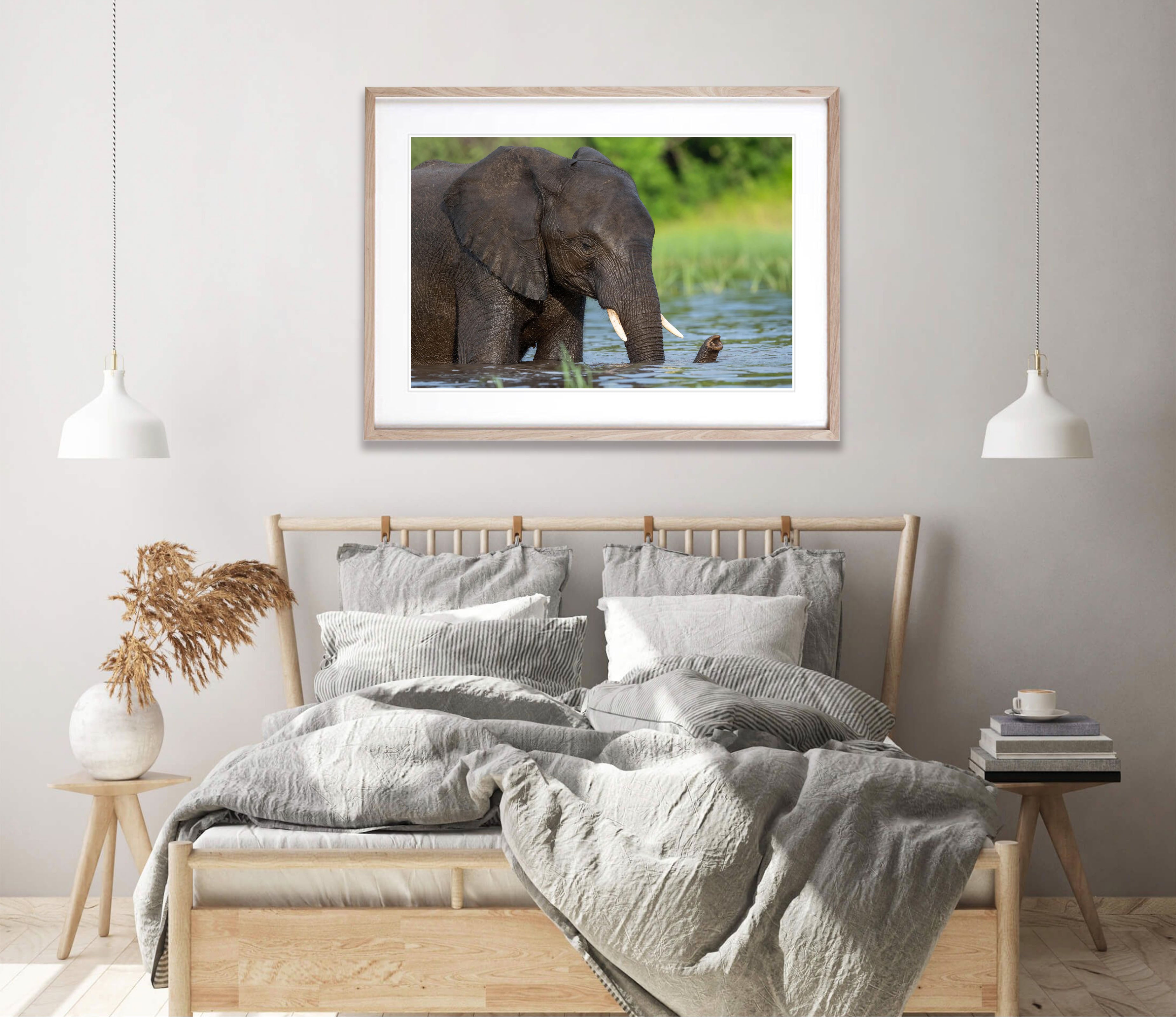 Elephant bathing, Chobe River, Botswana