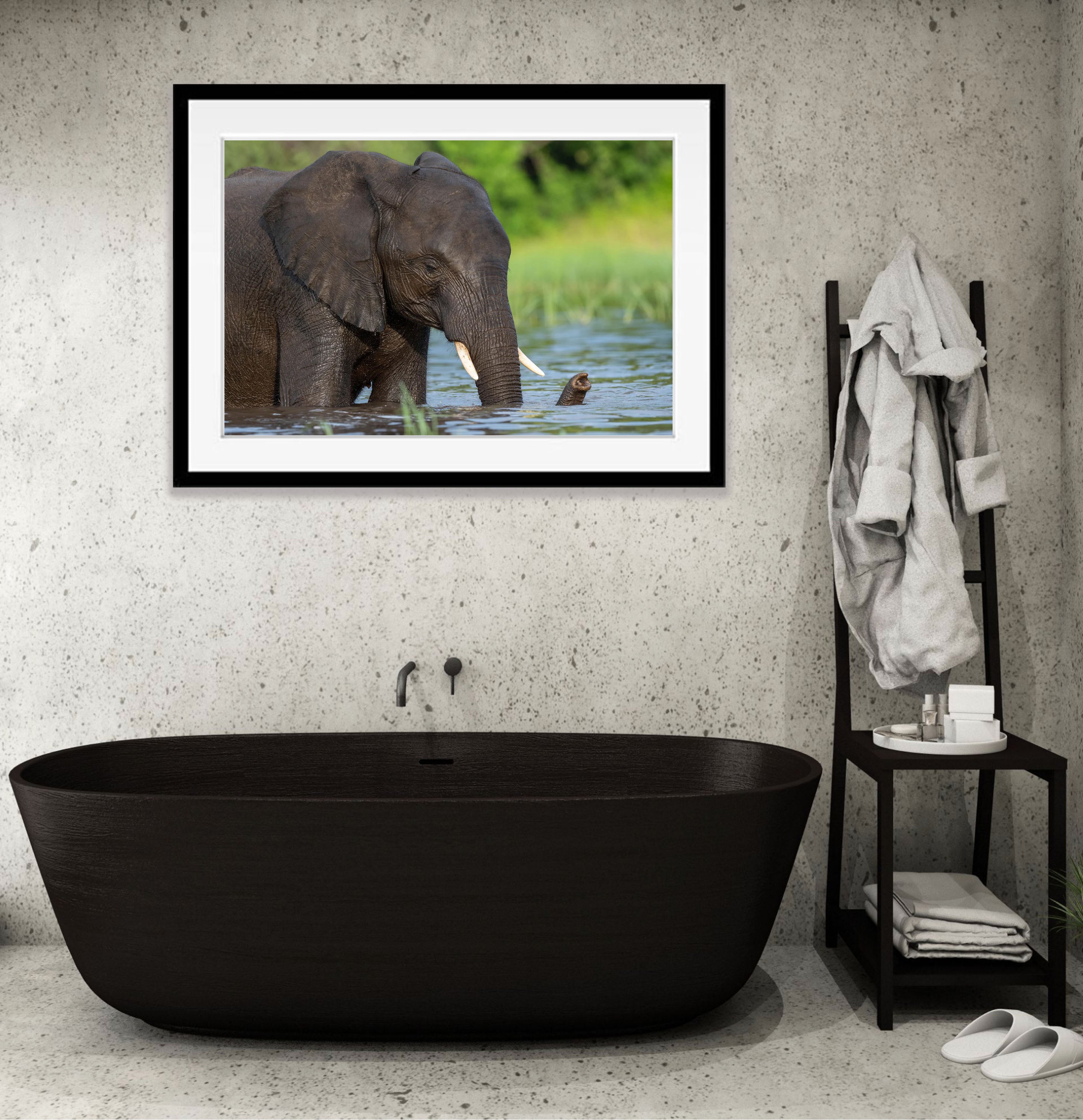 Elephant bathing, Chobe River, Botswana