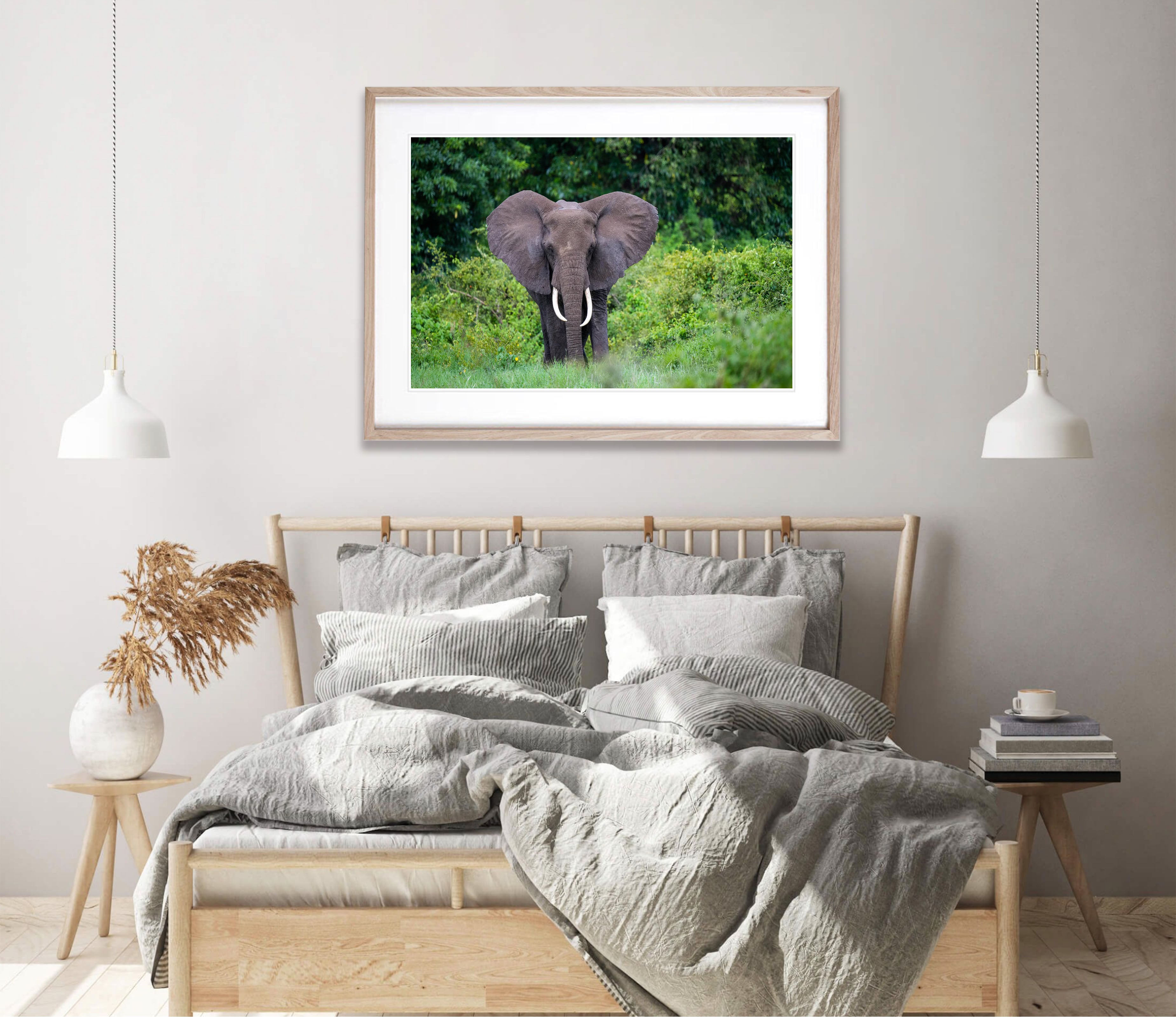 Elephant in the jungle, Ngorongoro Crater, Tanzania