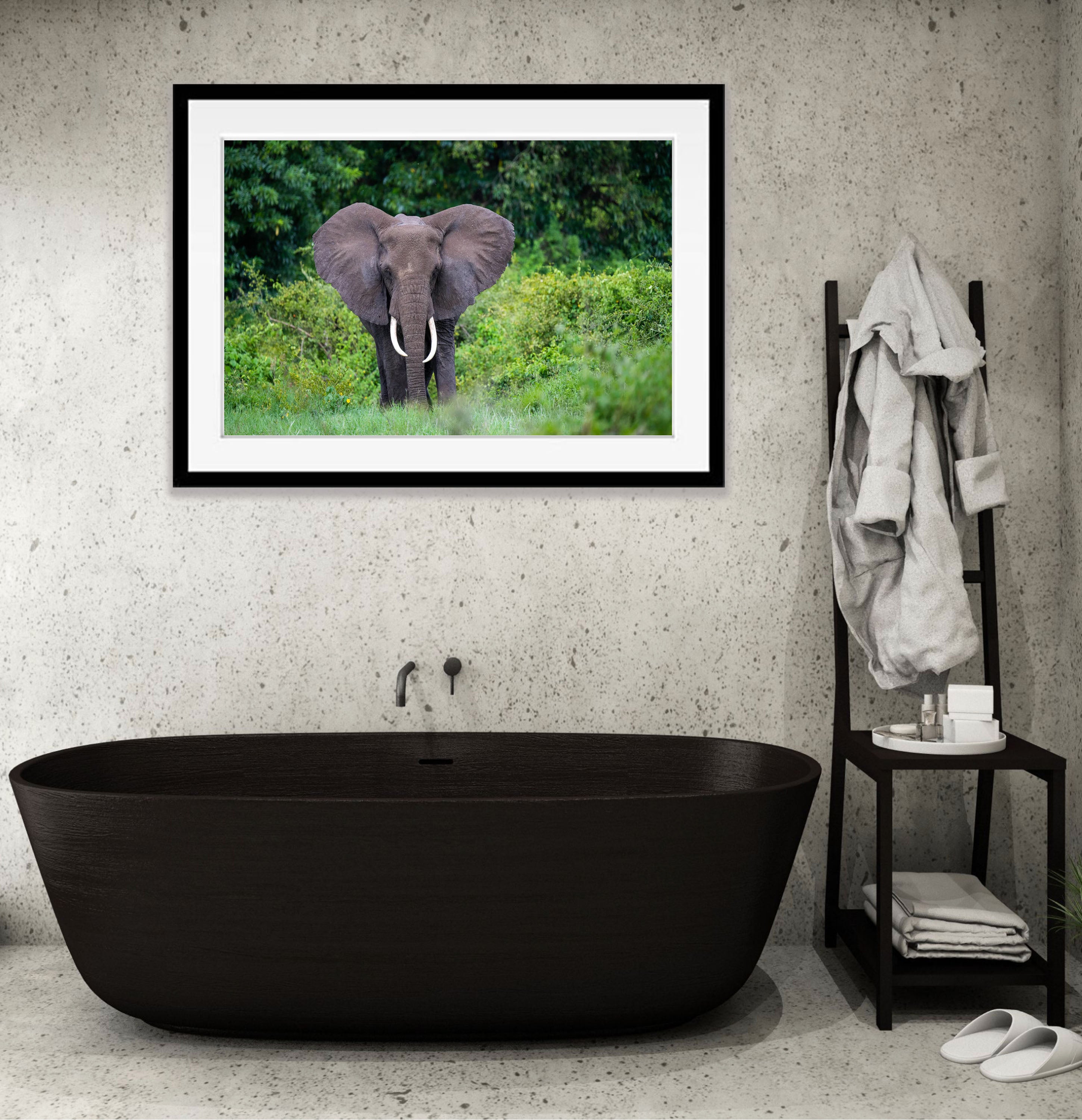 Elephant in the jungle, Ngorongoro Crater, Tanzania