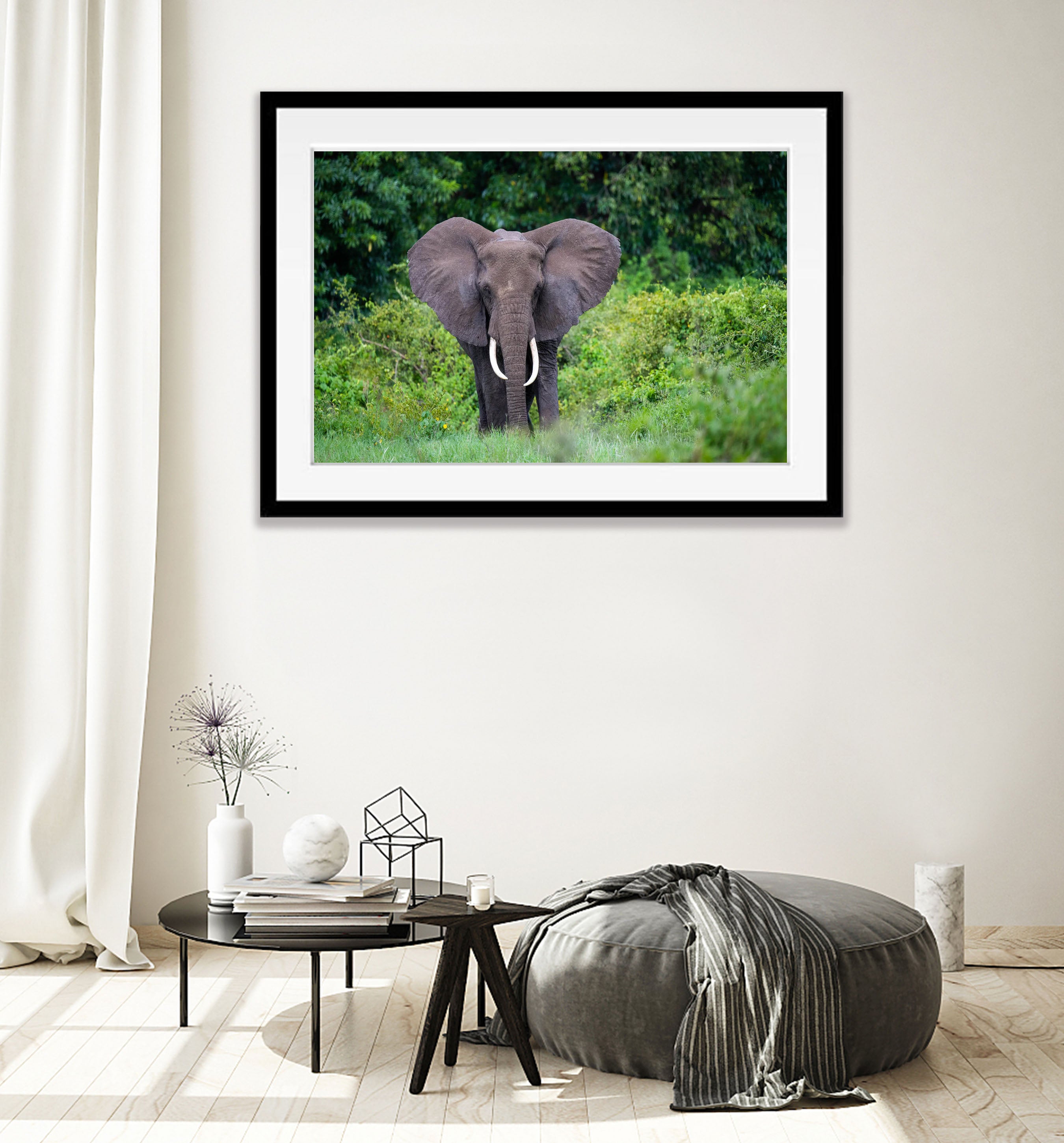 Elephant in the jungle, Ngorongoro Crater, Tanzania
