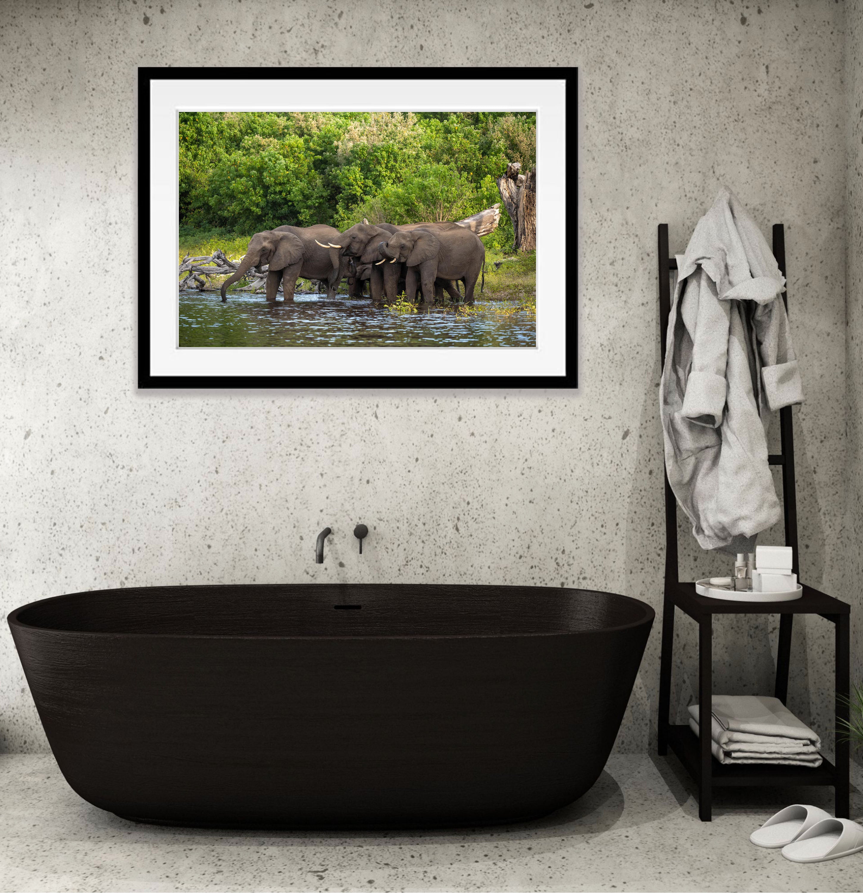 Elephants Drinking, Chobe River, Botswana