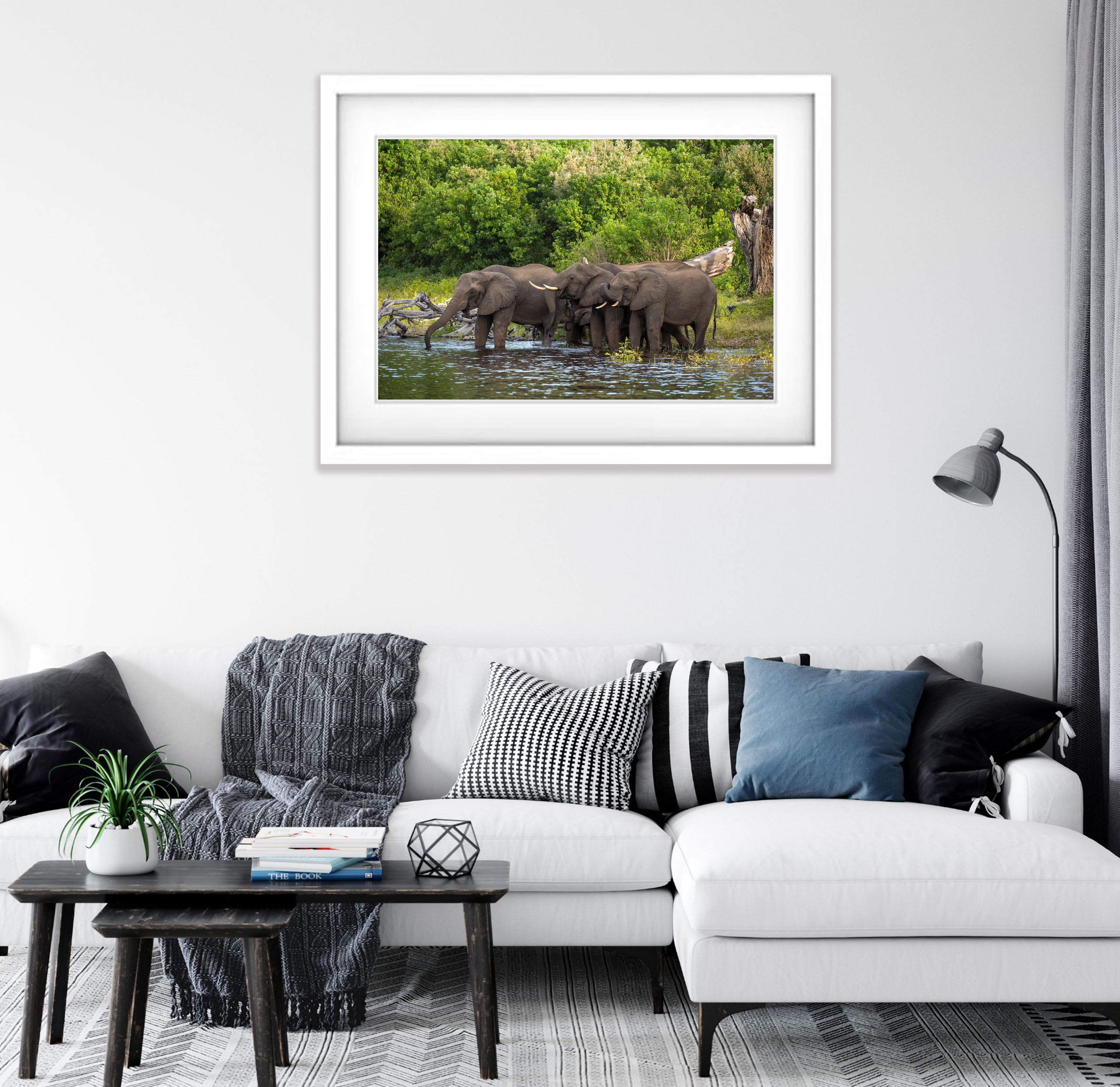 Elephants Drinking, Chobe River, Botswana