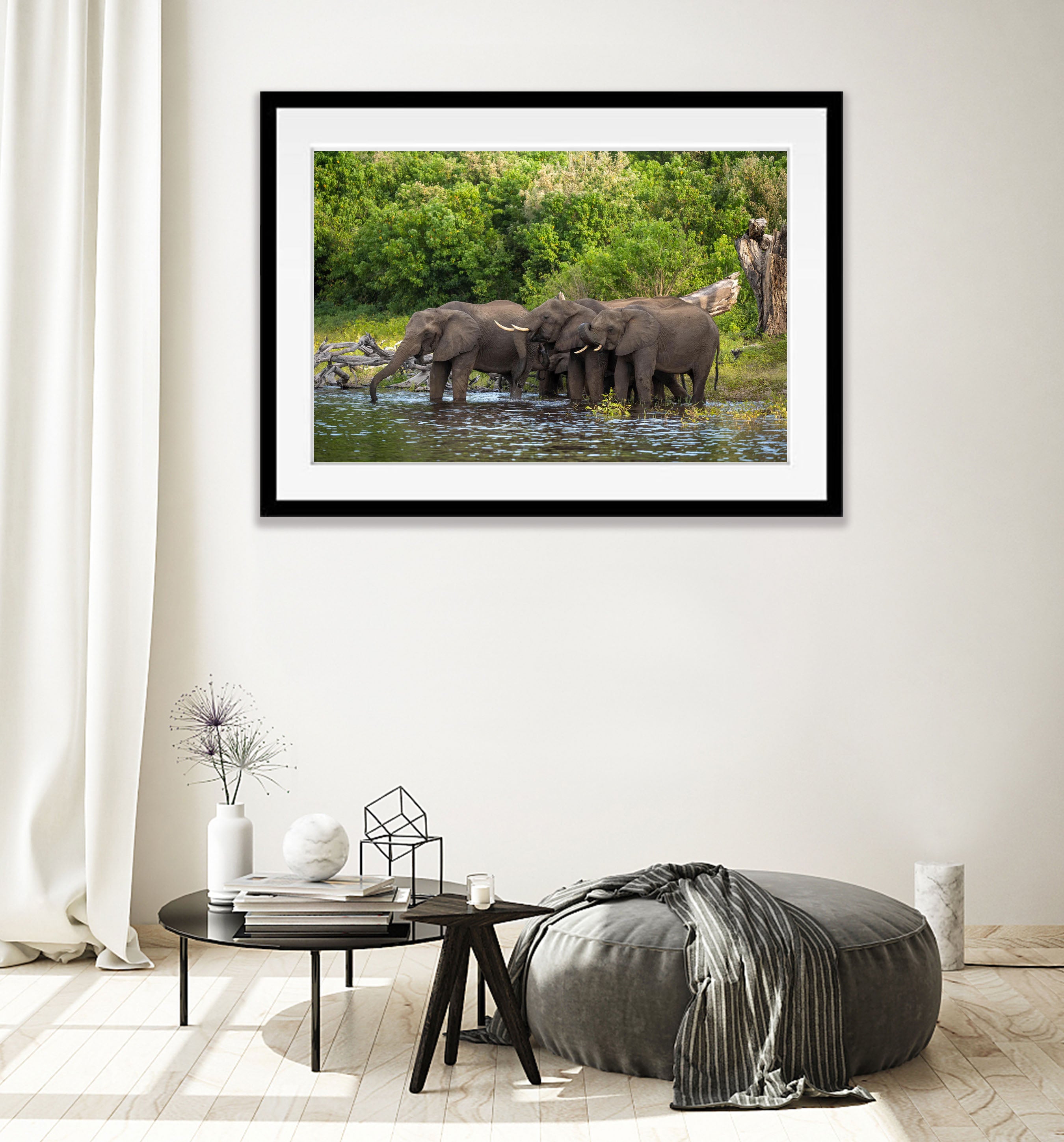 Elephants Drinking, Chobe River, Botswana