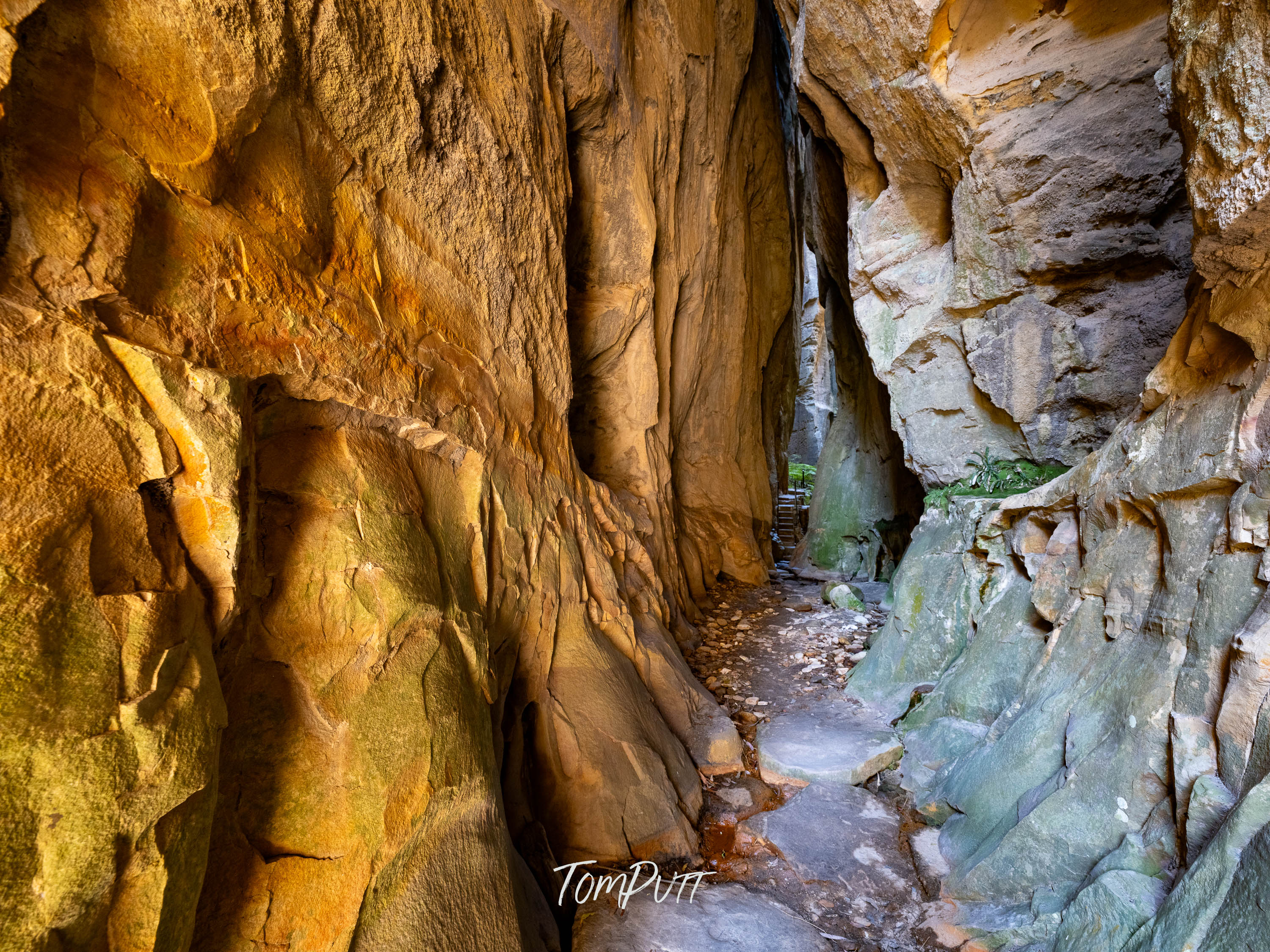 Amphitheatre Entrance, Carnarvon Gorge