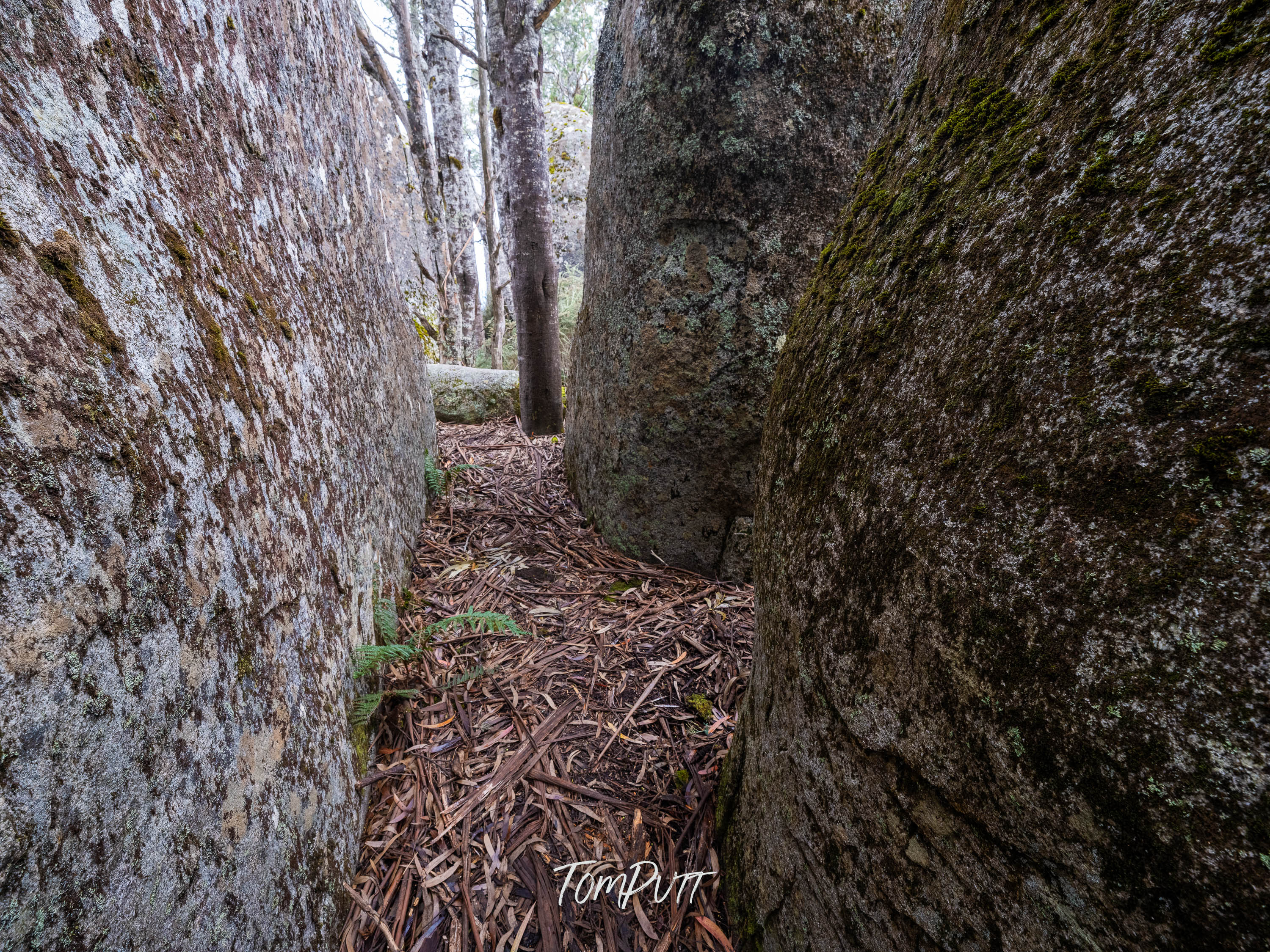 Rock and a Hard Place, Mt Baw Baw