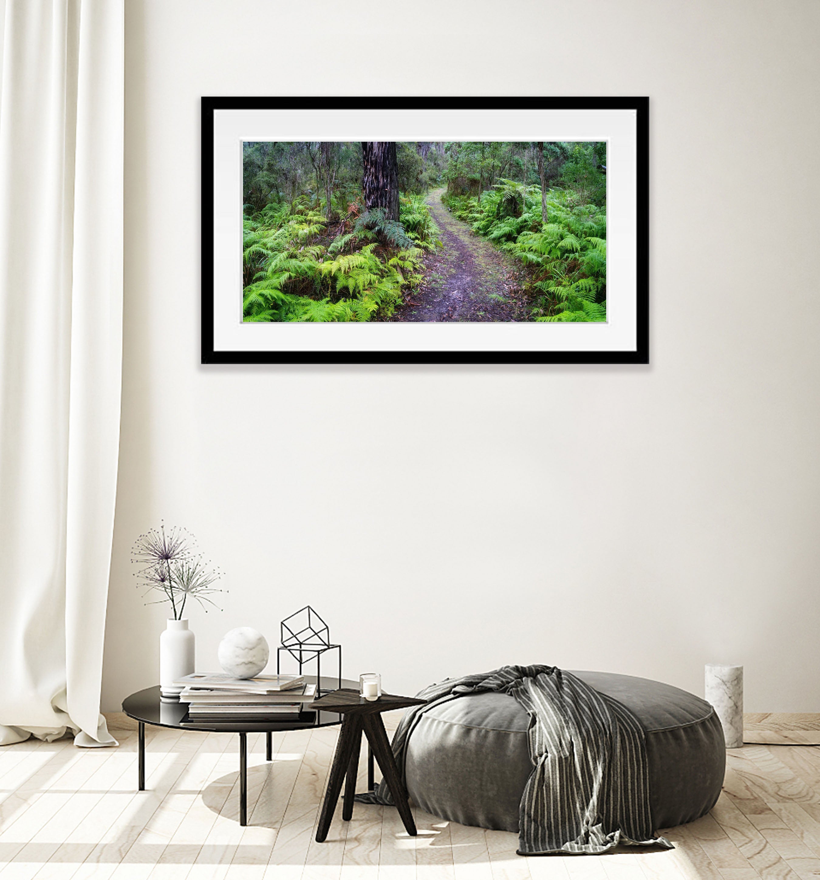 Fern Pathway, Main Ridge, Mornington Peninsula, VIC